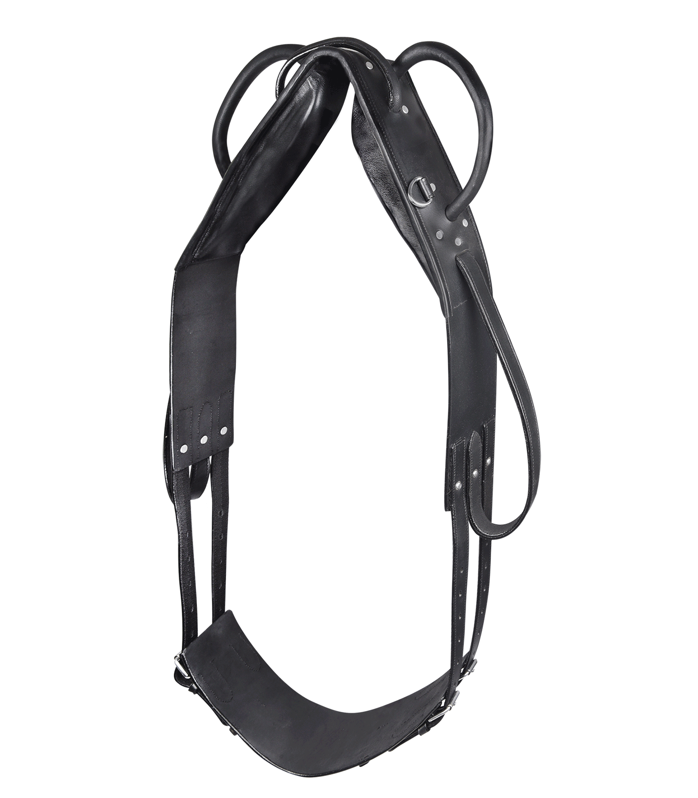 STAR - Vaulting Girth, black