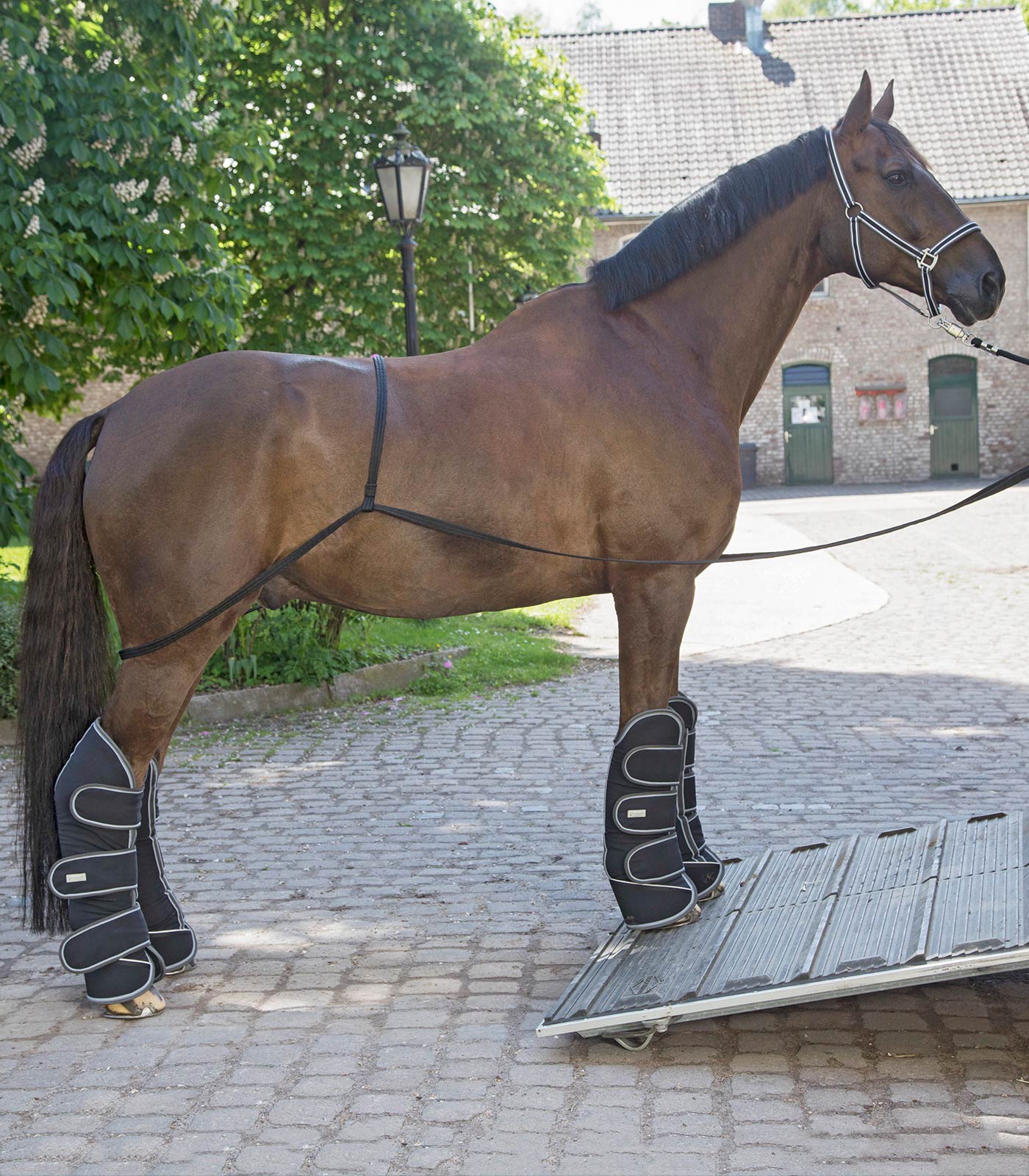 Waldhausen - Trailer rope for loading
