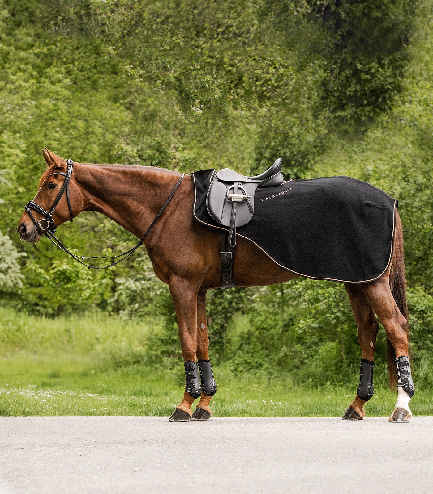 Waldhausen - Excercise rug modern rosé