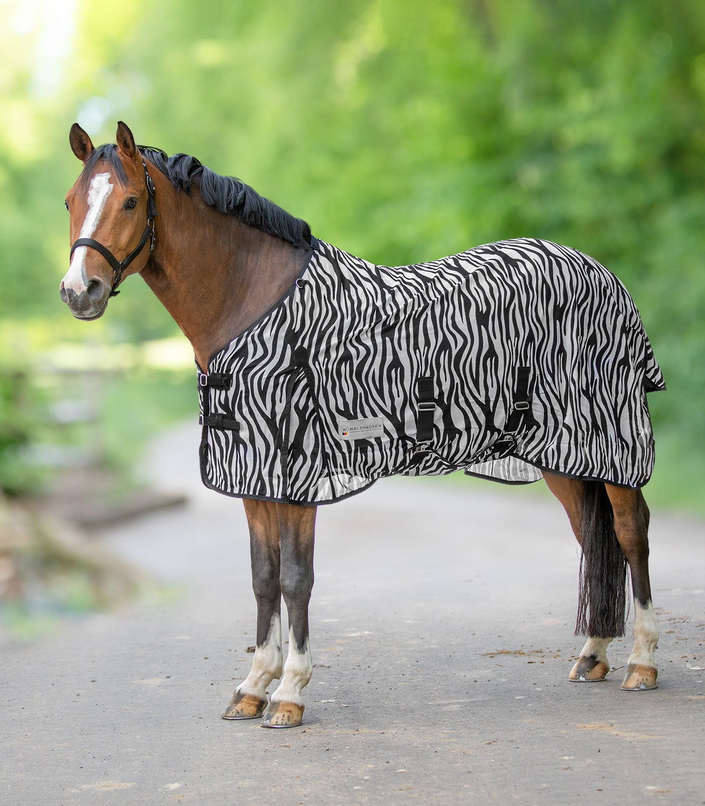 Waldhausen - Flyrug Zebra