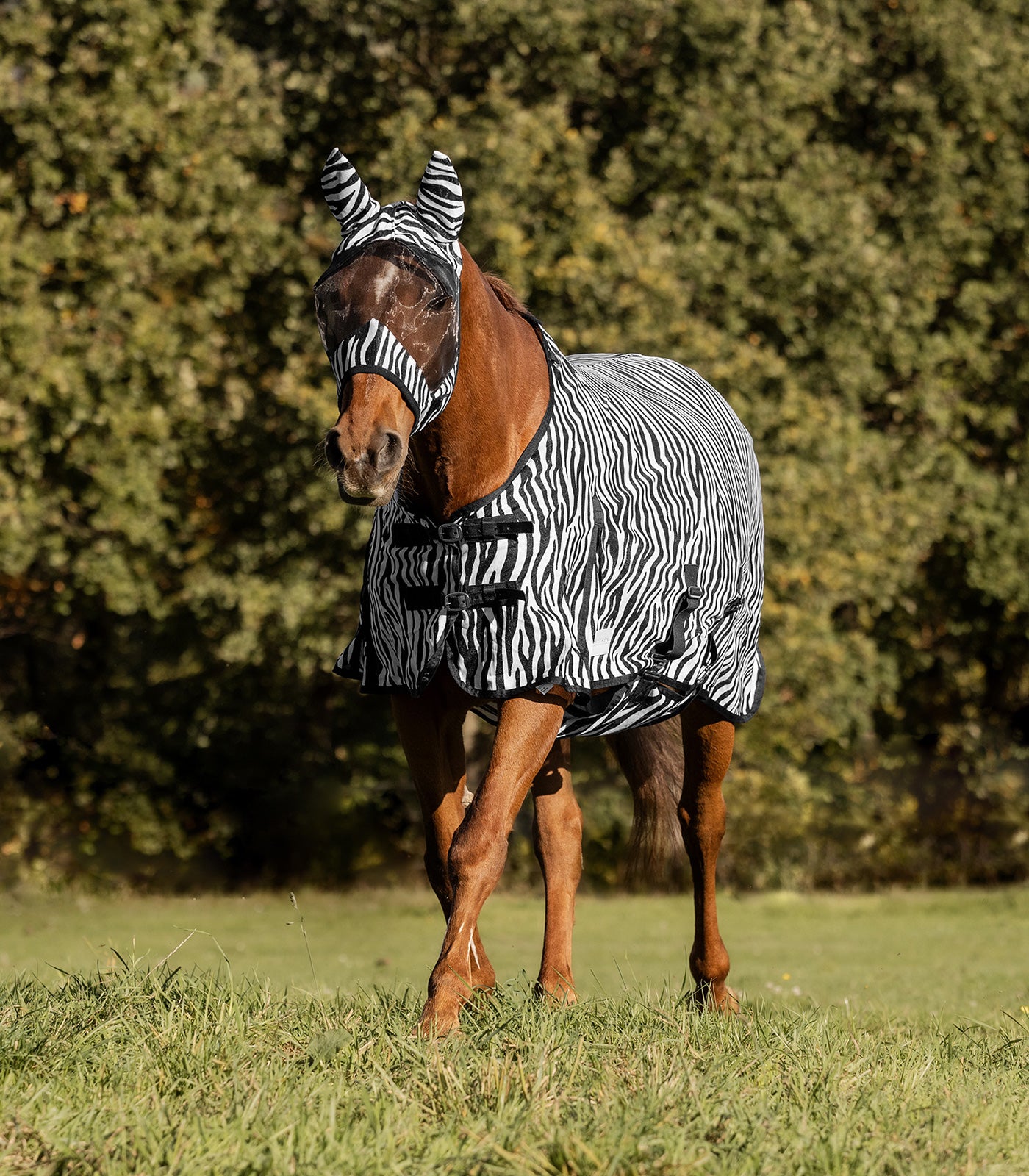 Waldhausen - Flyrug Zebra