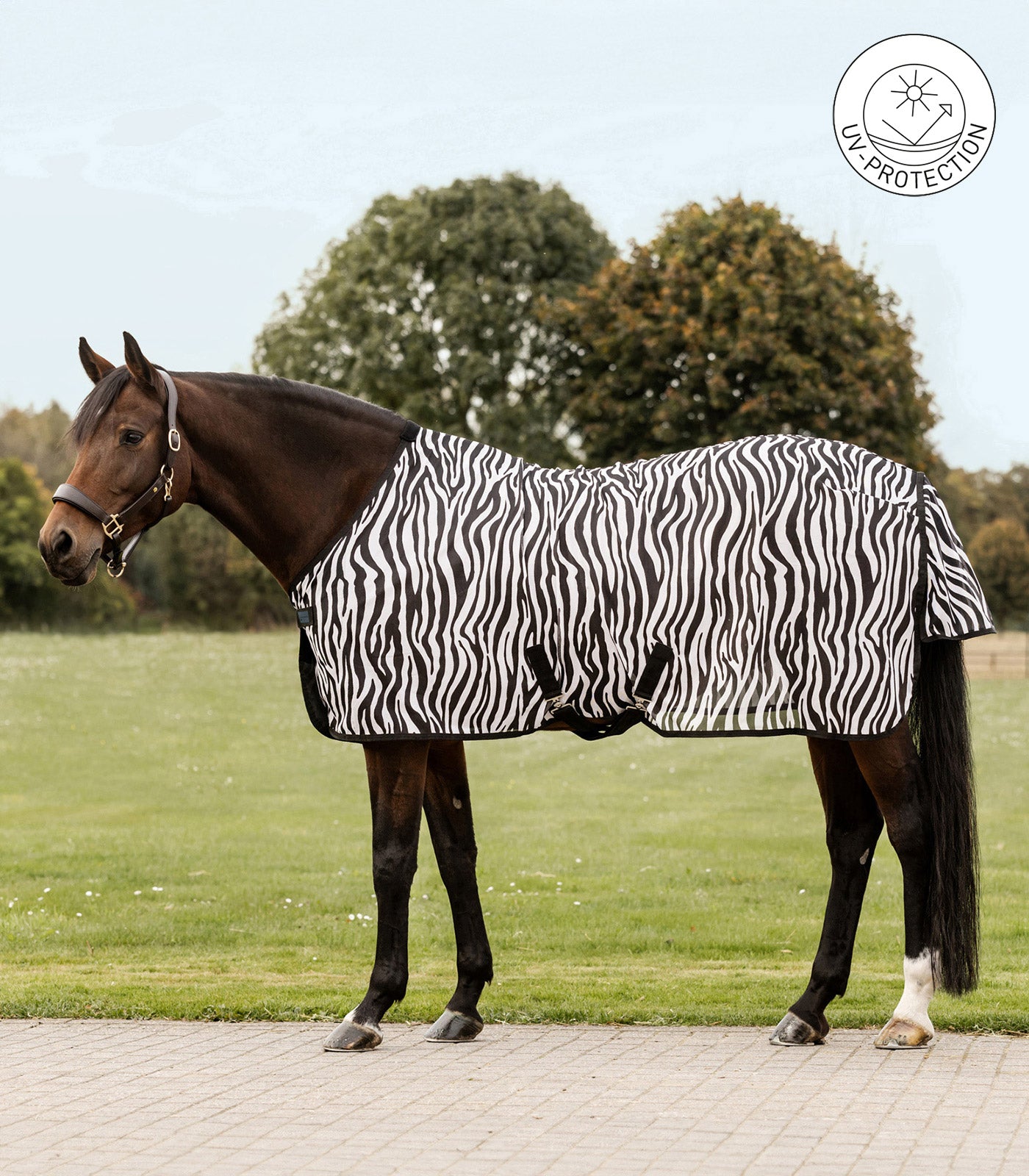 Waldhausen - Flyrug Zebra with surcingles