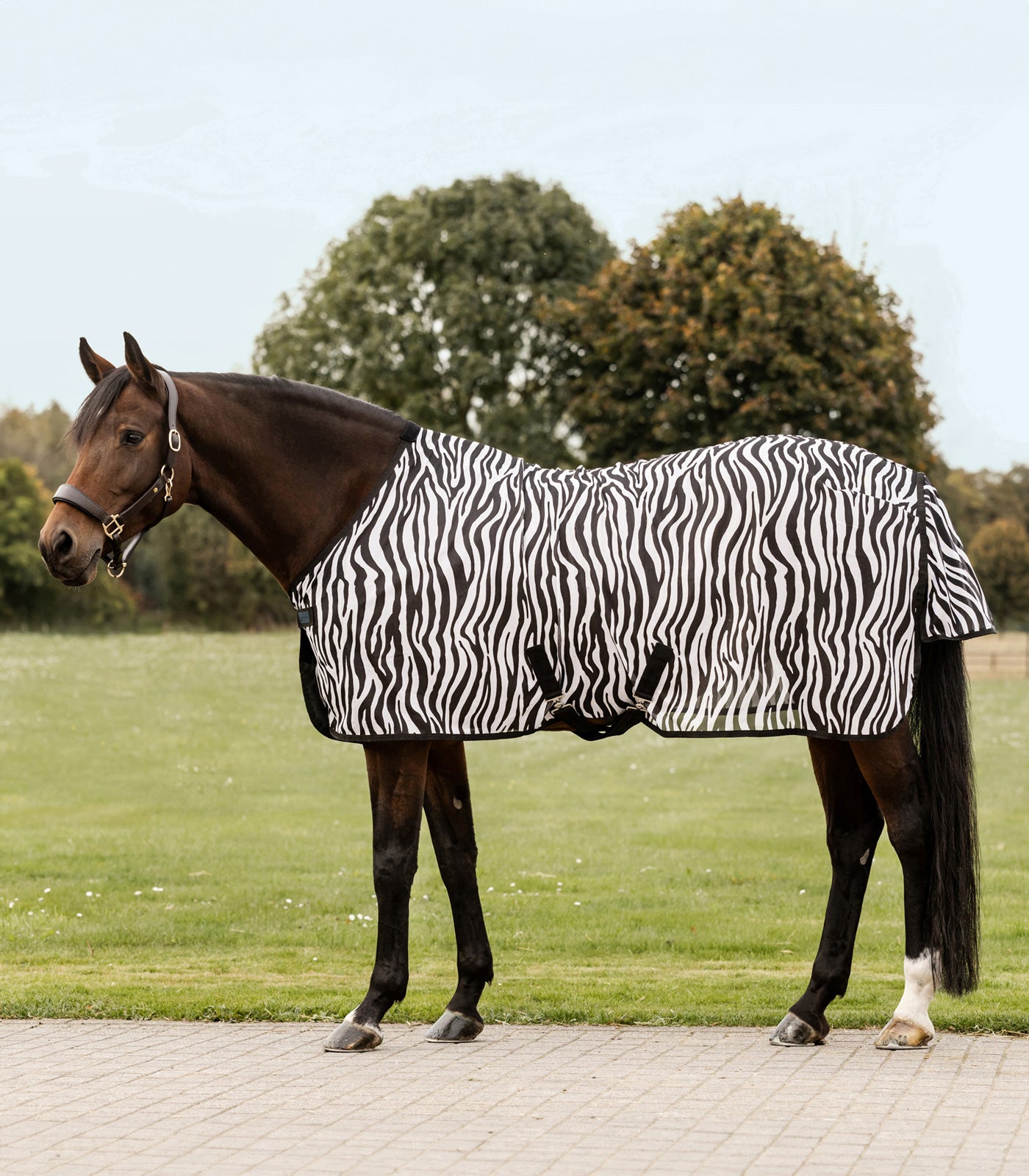 Waldhausen - Flyrug Zebra with surcingles