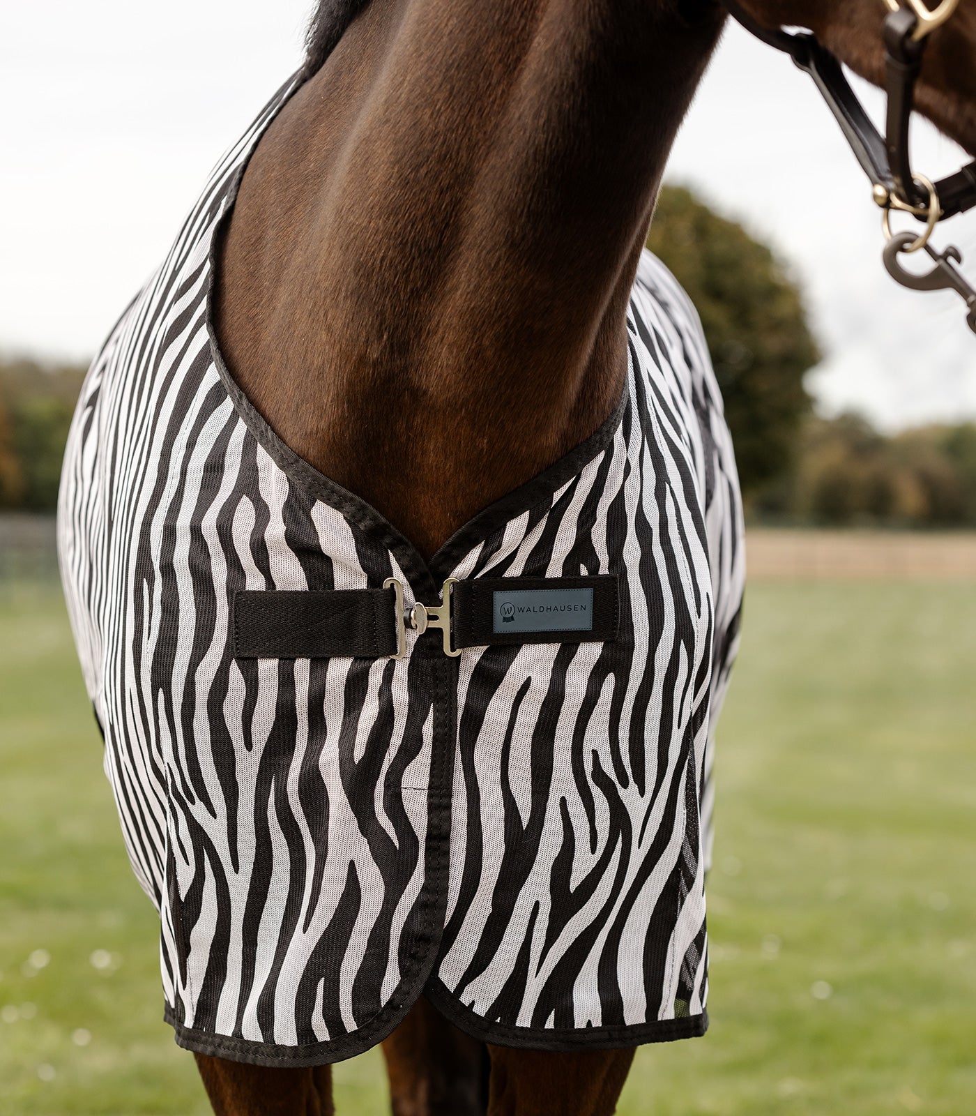 Waldhausen - Flyrug Zebra with surcingles