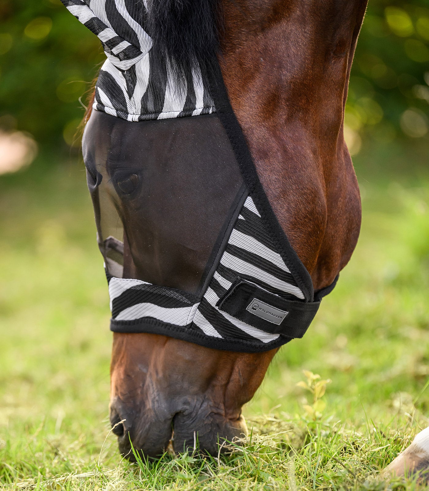Waldhausen - Fly mask Zebra