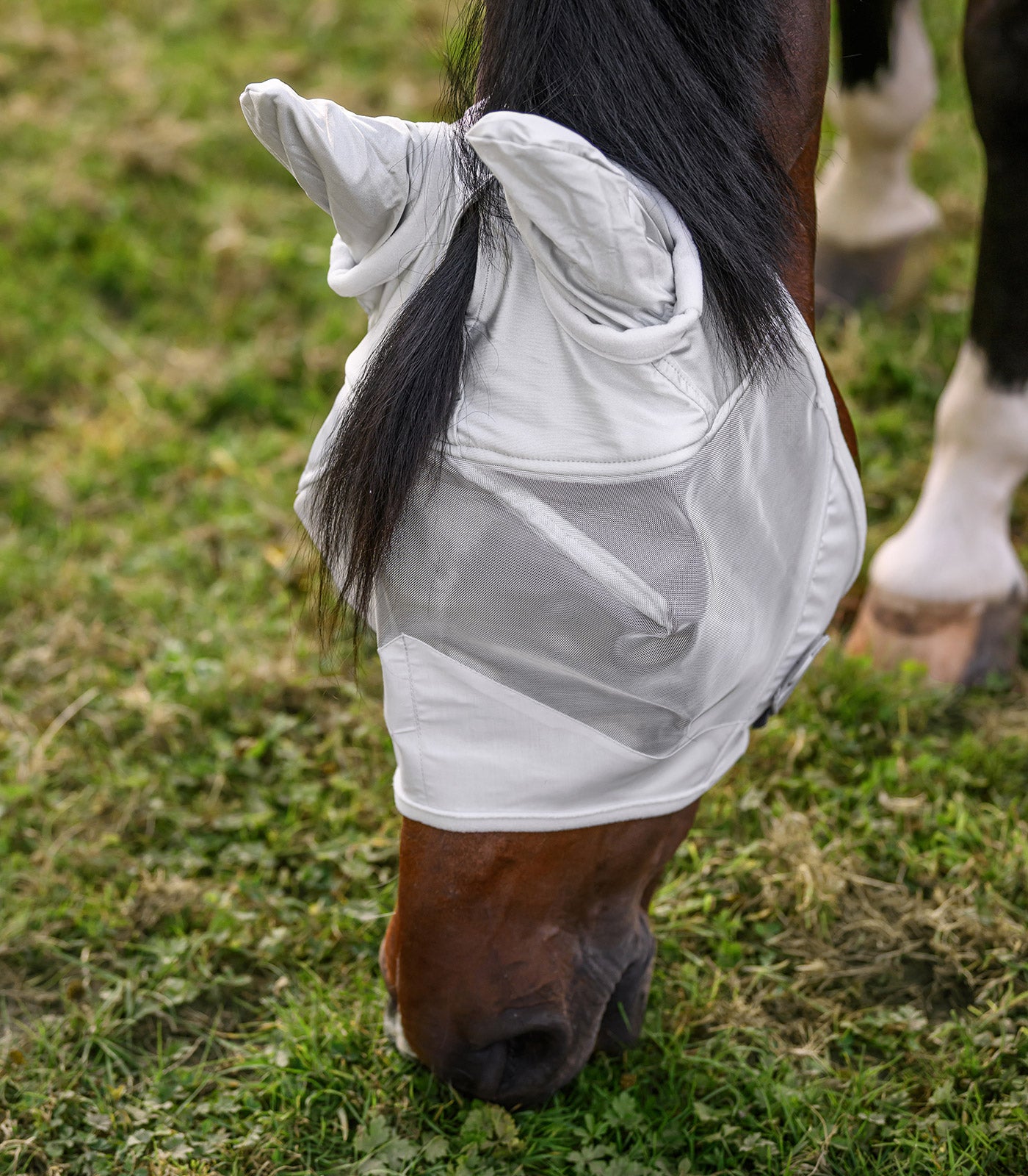 Waldhausen - Fly Mask Premium with ears
