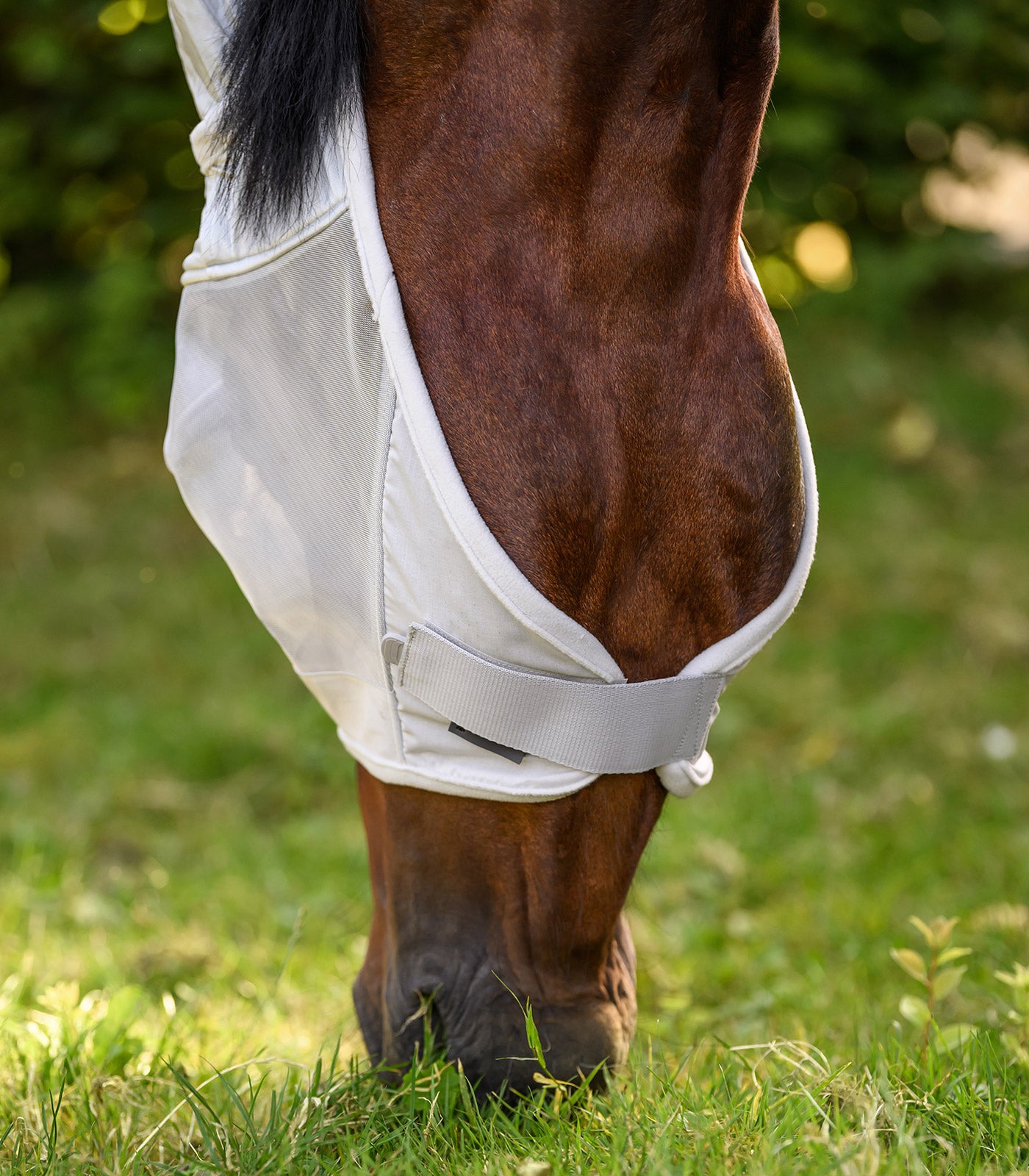 Waldhausen - Fly Mask Premium with ears