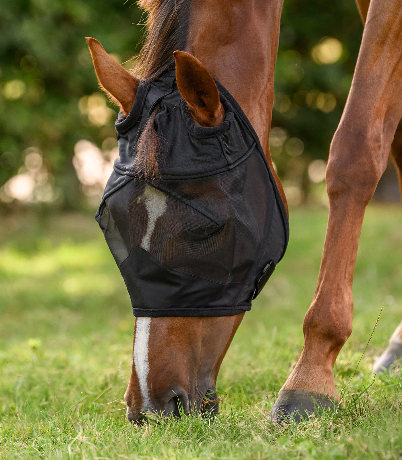 Waldhausen - Fly Mask Premium without ears