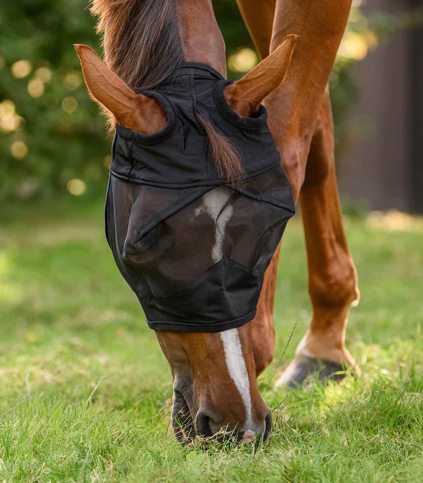 Waldhausen - Fly Mask Premium without ears
