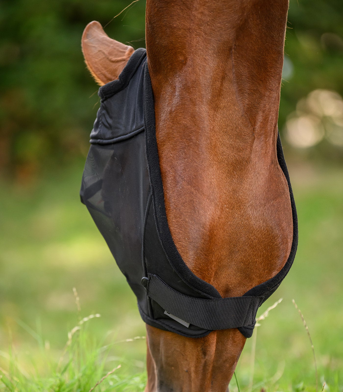 Waldhausen - Fly Mask Premium without ears