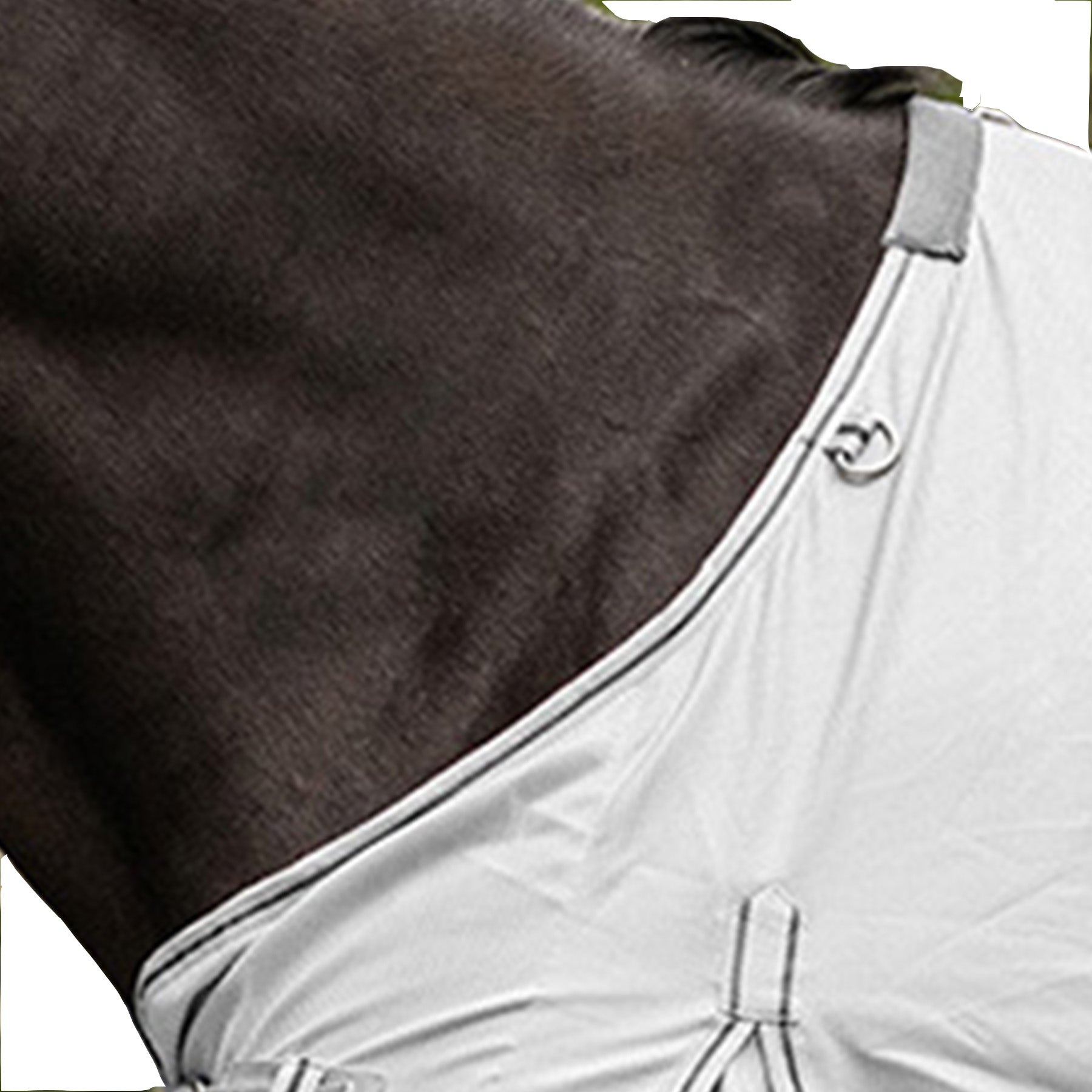 Waldhausen - Fly Sheet Protect with belly band