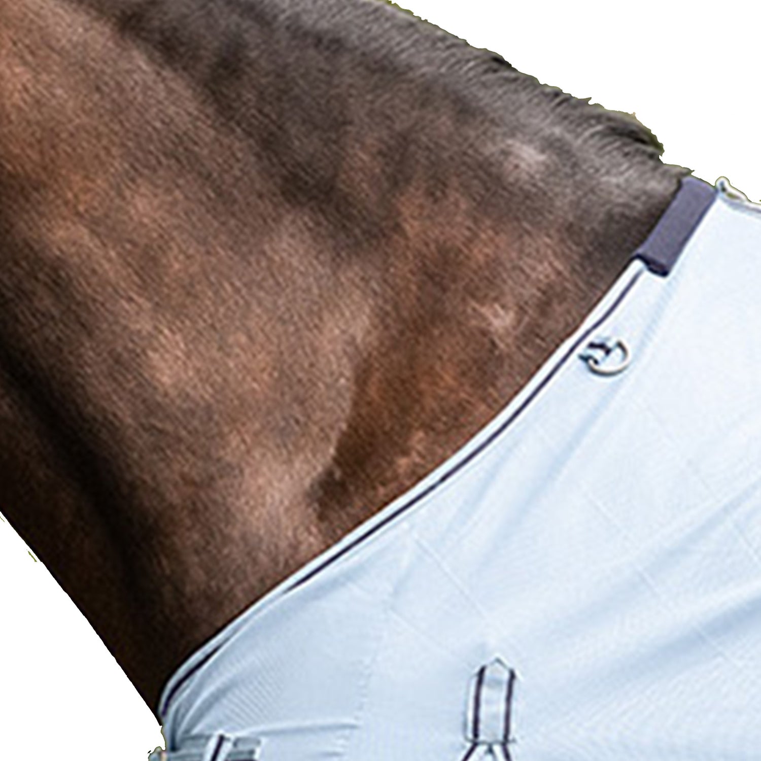 Waldhausen - Fly Sheet Protect with belly band
