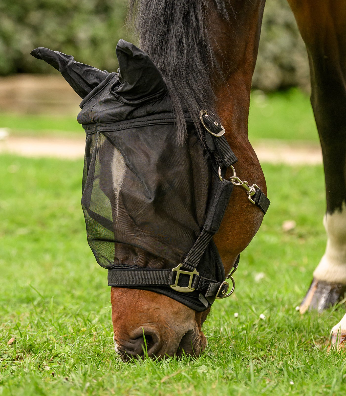 Waldhausen - Fly mask Premium for halter, with ears