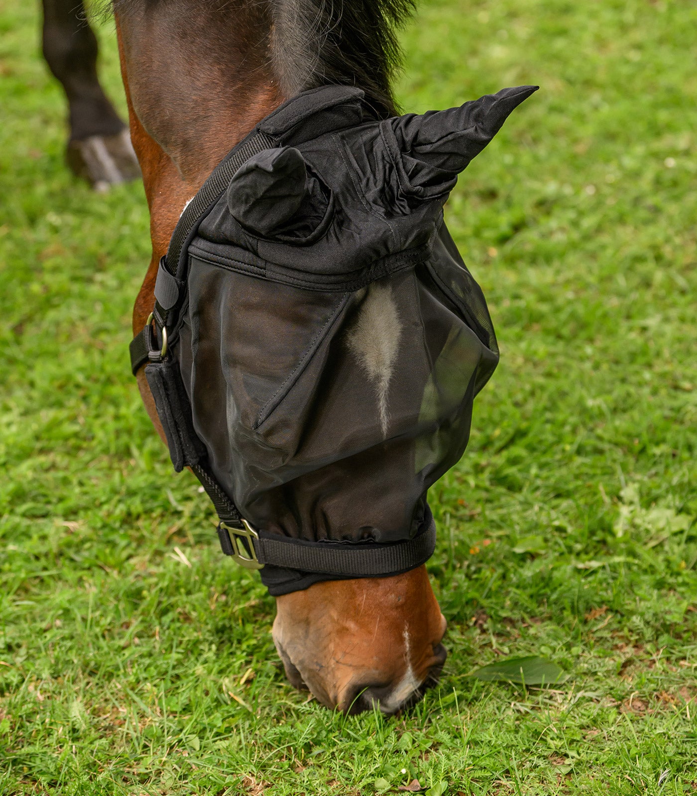 Waldhausen - Fly mask Premium for halter, with ears