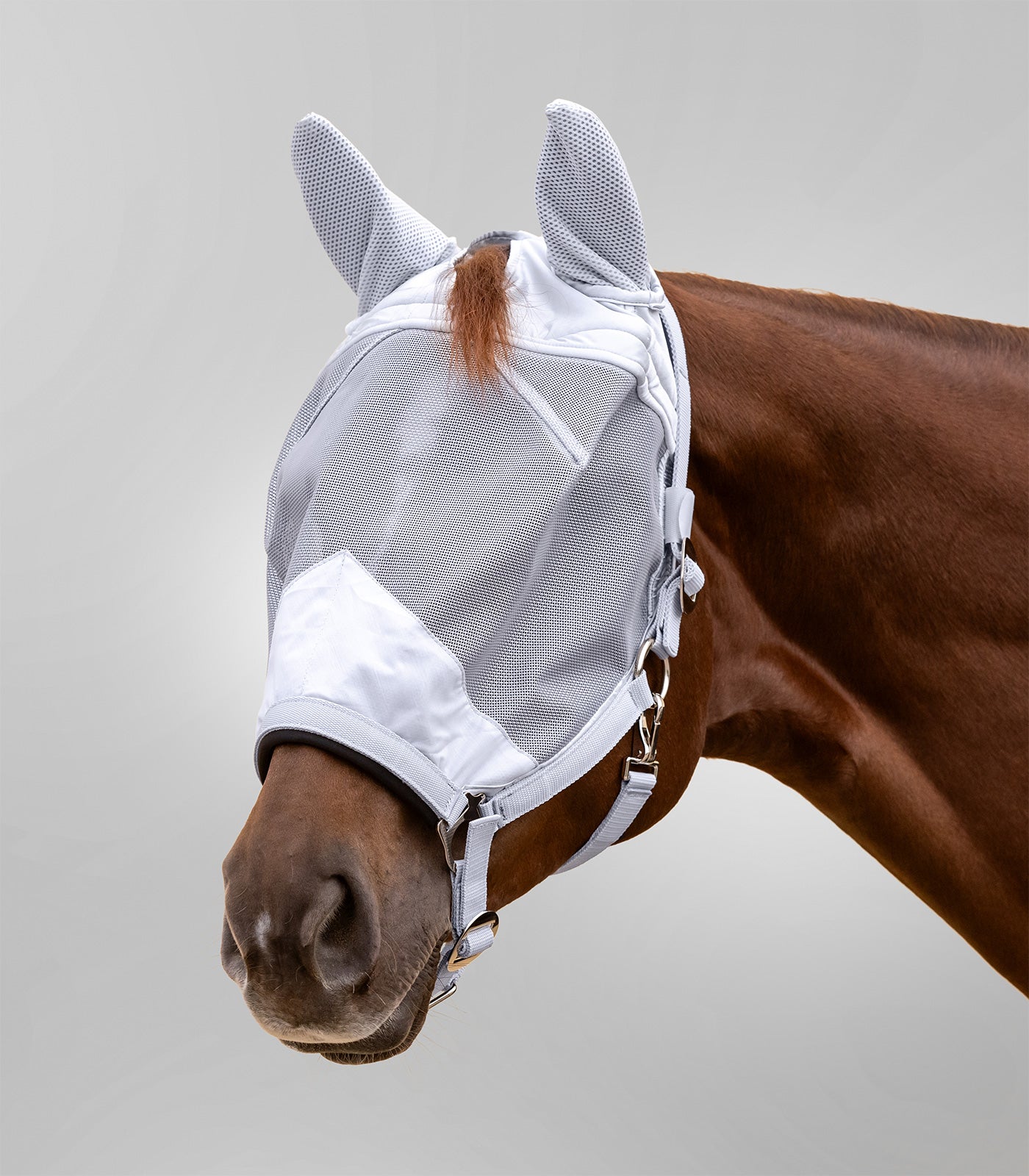 Waldhausen - Fly Bonnet Premium, w. Halter