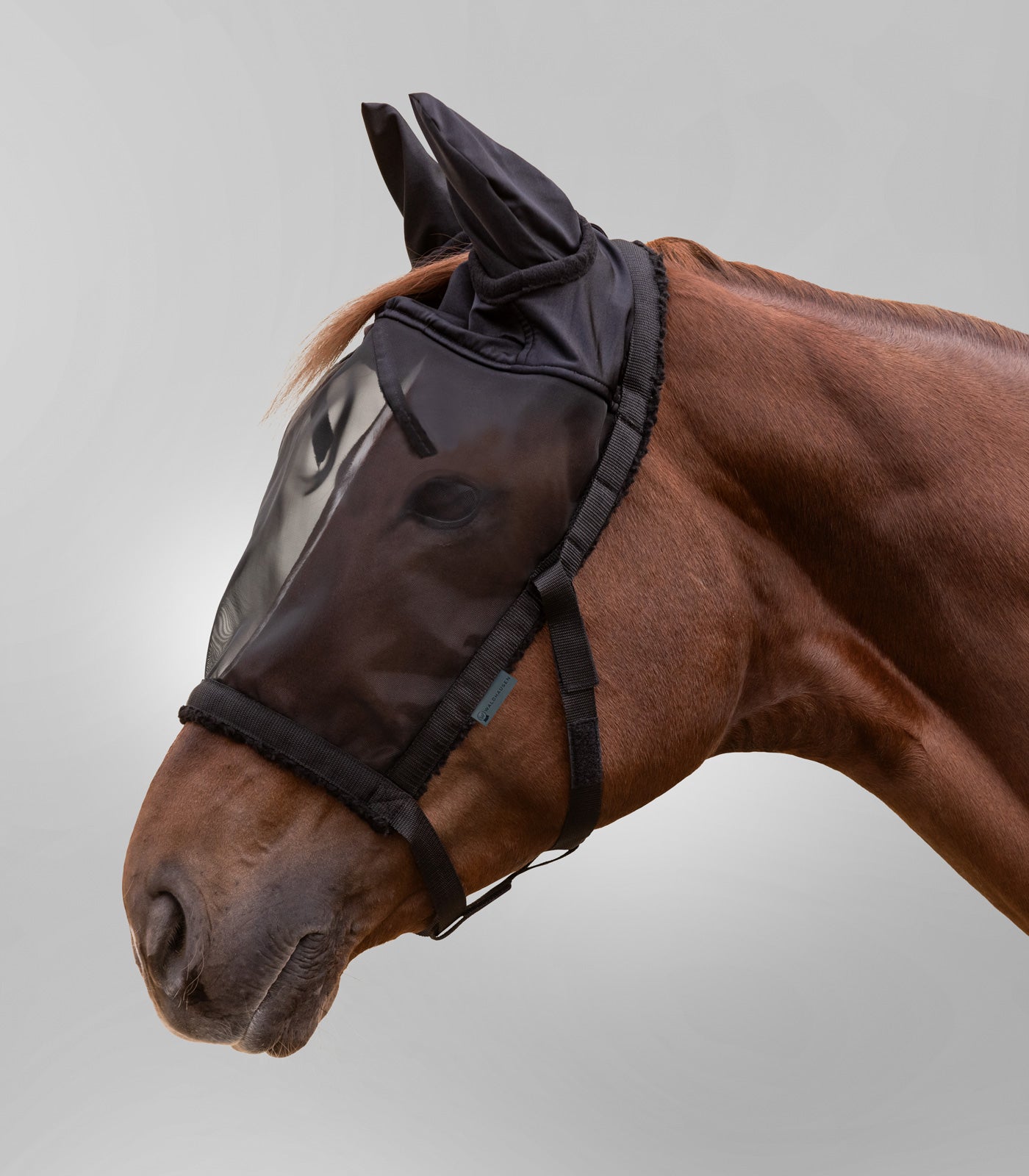 Waldhausen - Grazing halter with fly mask