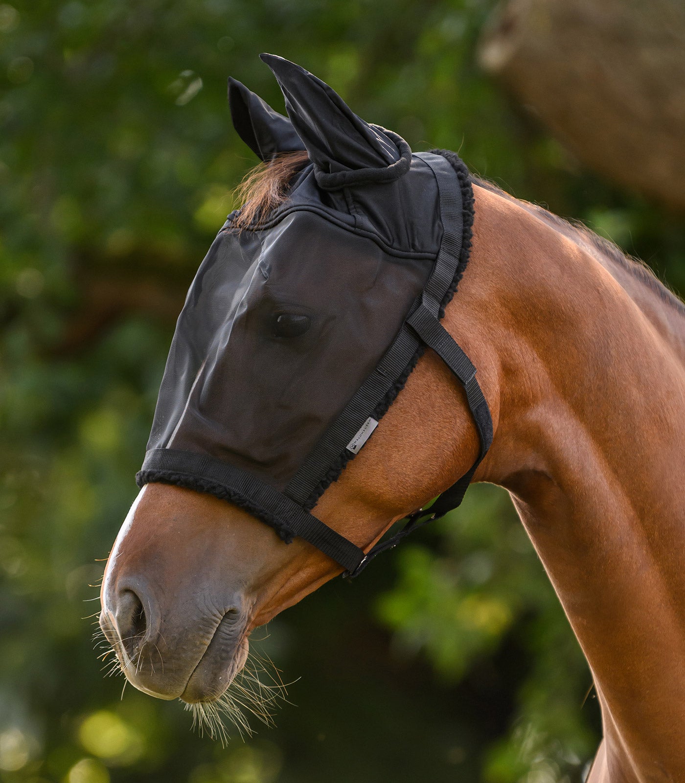 Waldhausen - Grazing halter with fly mask