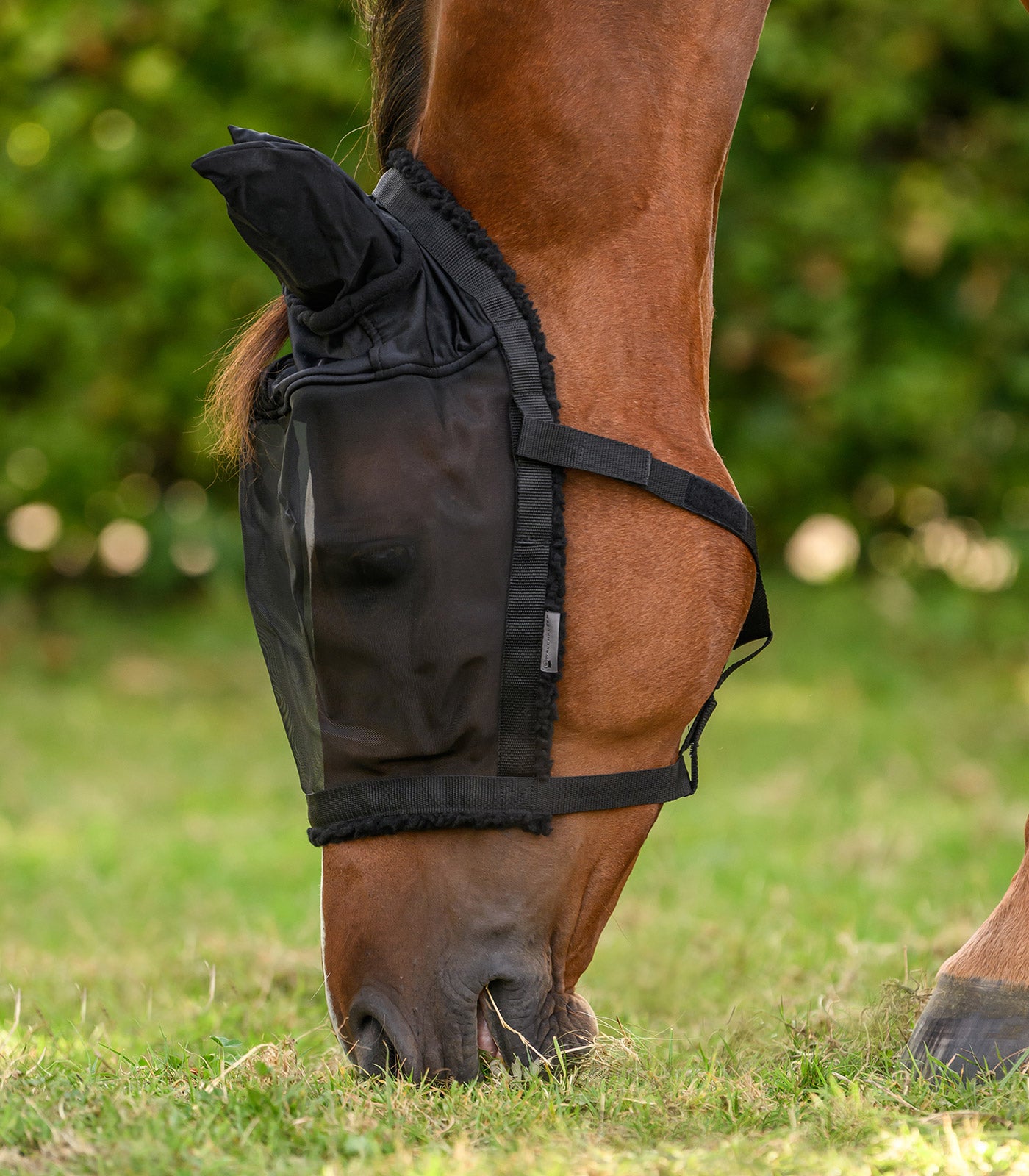 Waldhausen - Grazing halter with fly mask