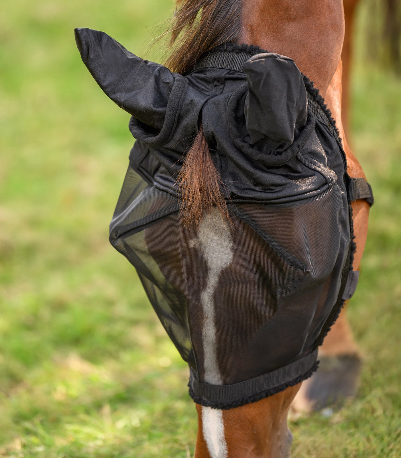 Waldhausen - Grazing halter with fly mask