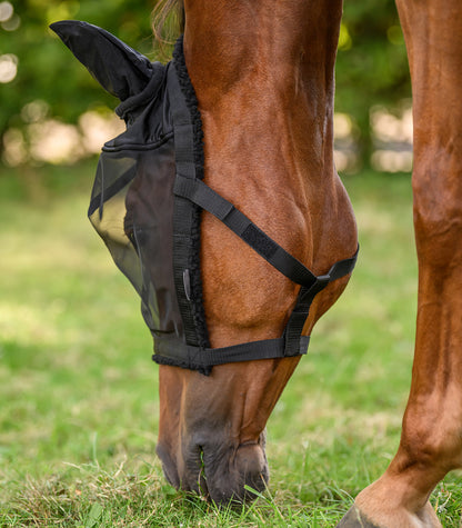 Waldhausen - Grazing halter with fly mask