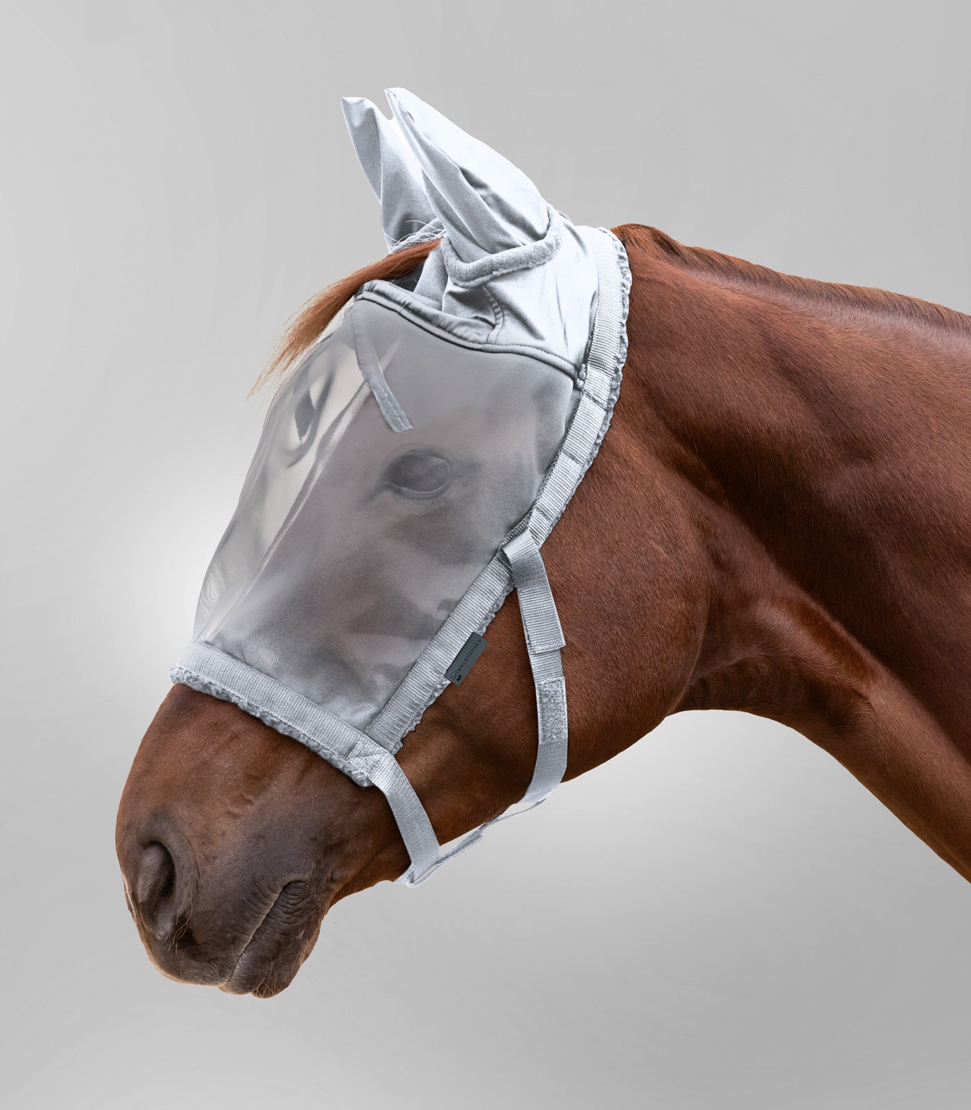 Waldhausen - Grazing halter with fly mask