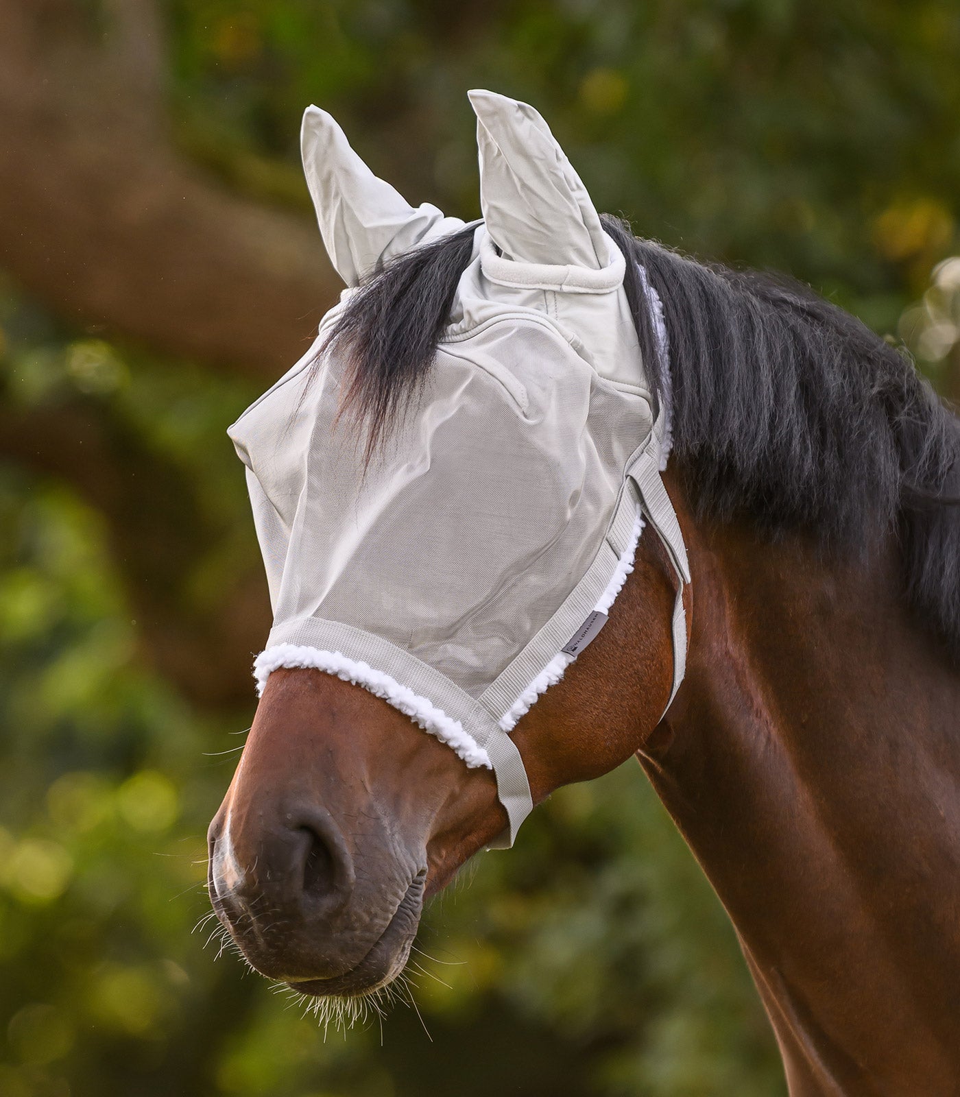 Waldhausen - Grazing halter with fly mask