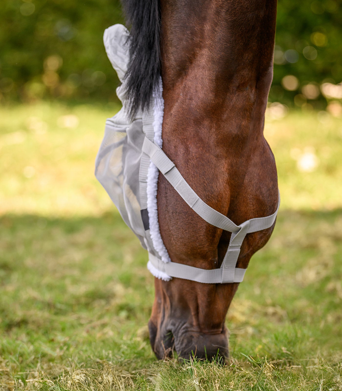 Waldhausen - Grazing halter with fly mask
