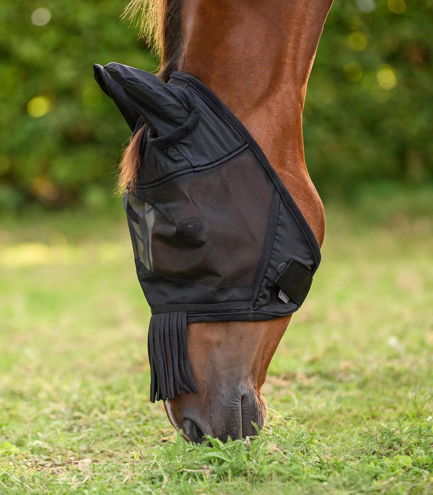 Waldhausen - Fly mask with ears and fringes on nose