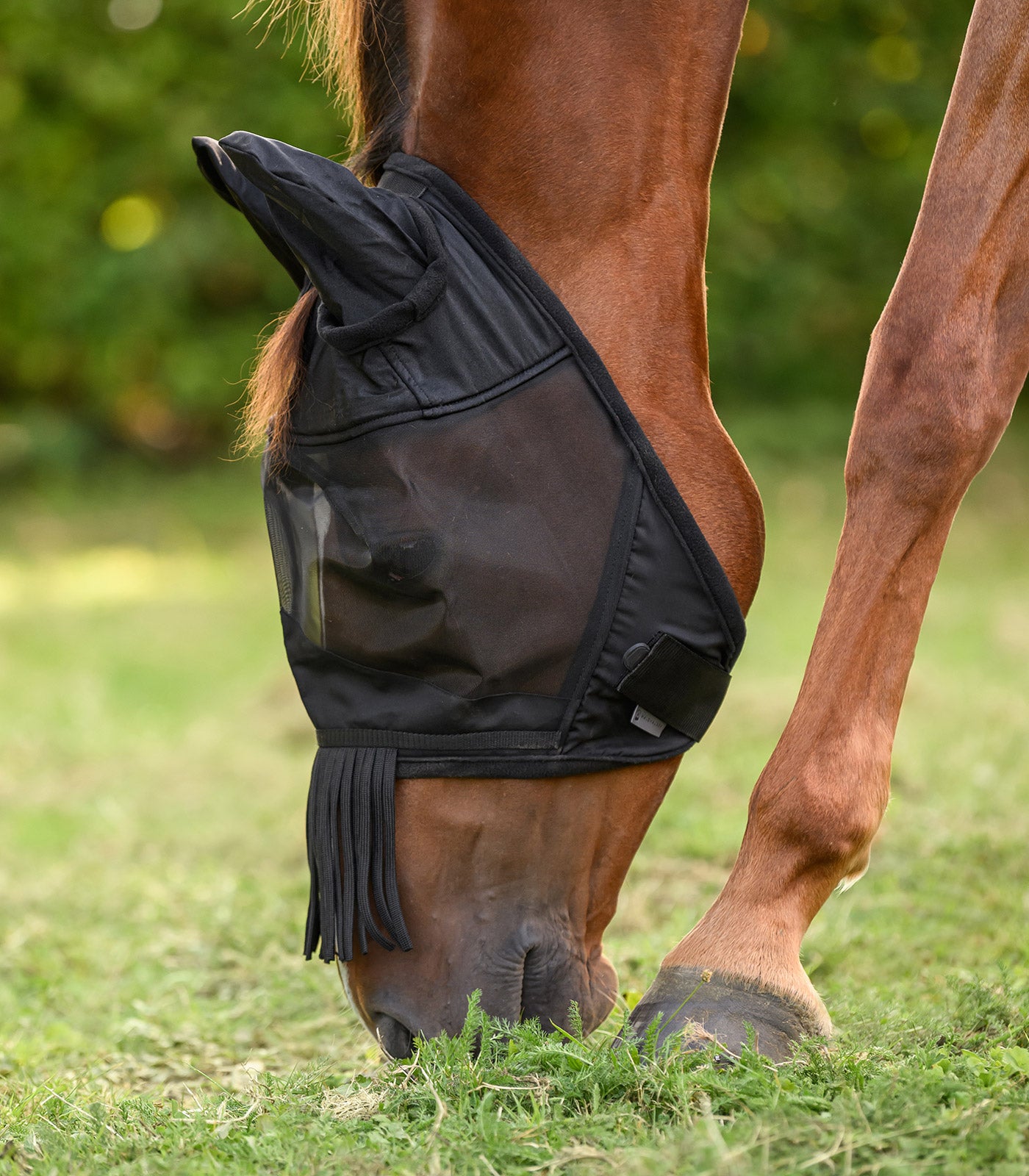 Waldhausen - Fly mask with ears and fringes on nose