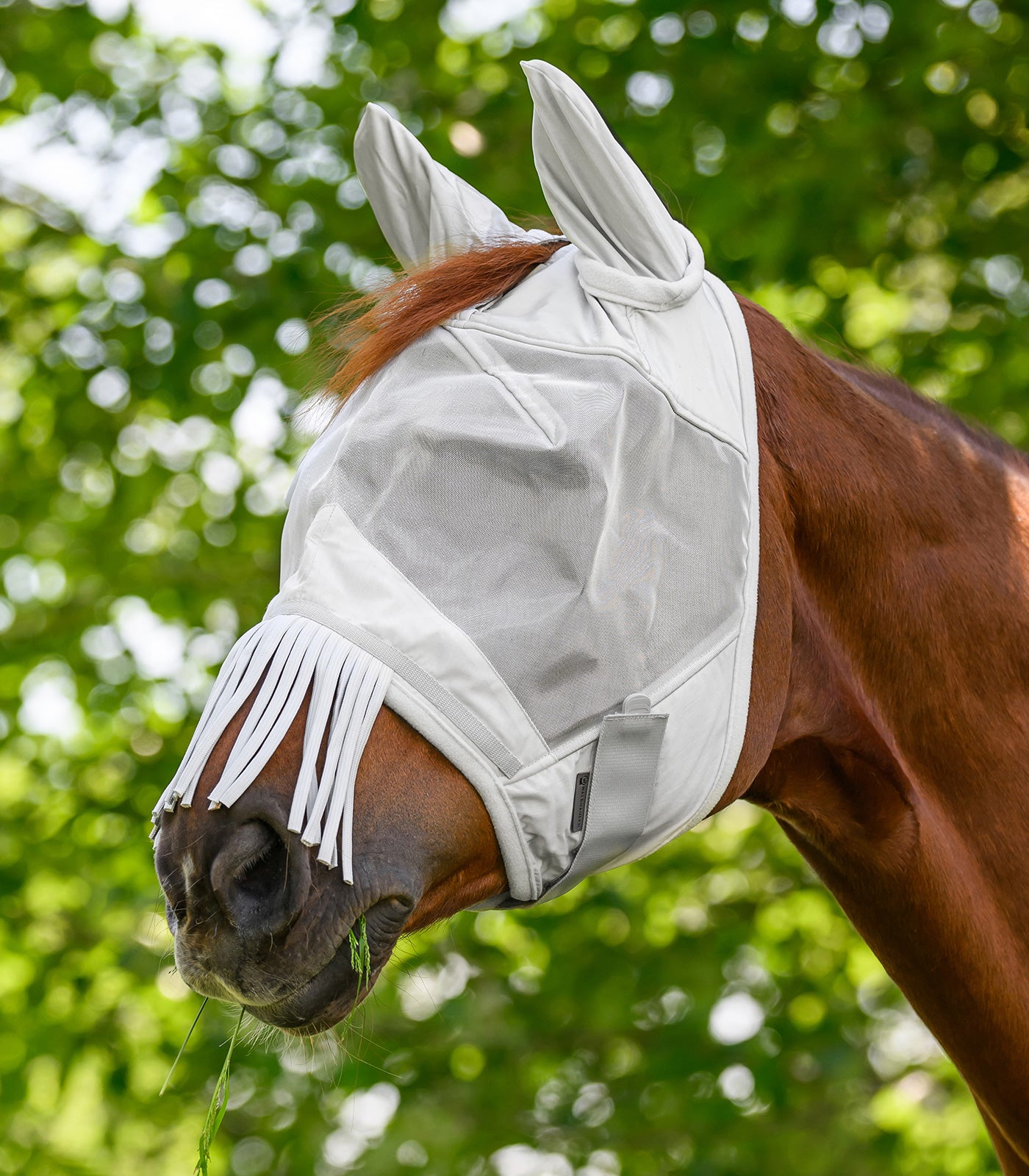 Waldhausen - Fly mask with ears and fringes on nose