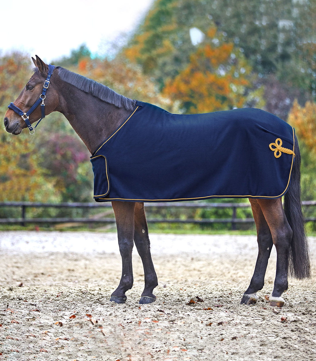 Waldhausen - Fleece Anti Sweat Rug