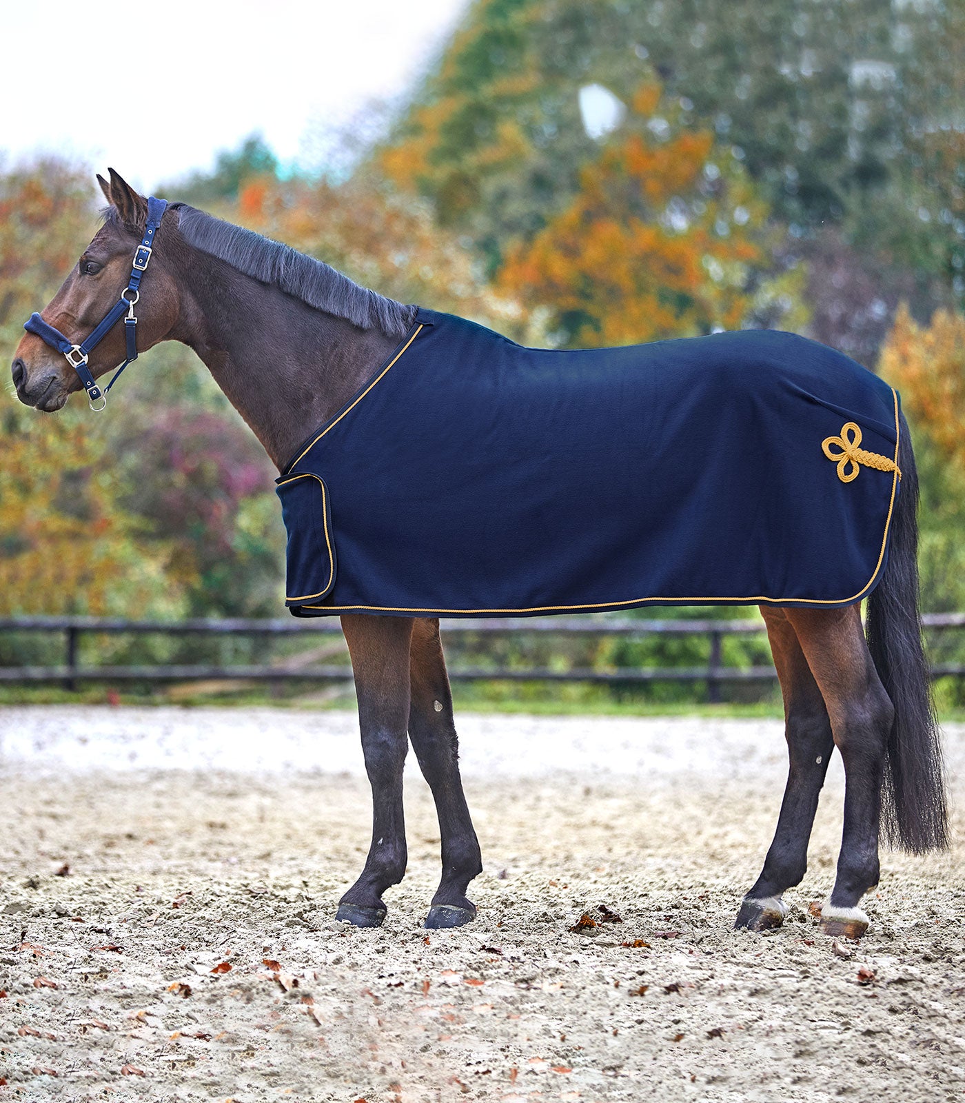 Waldhausen - Fleece Anti Sweat Rug