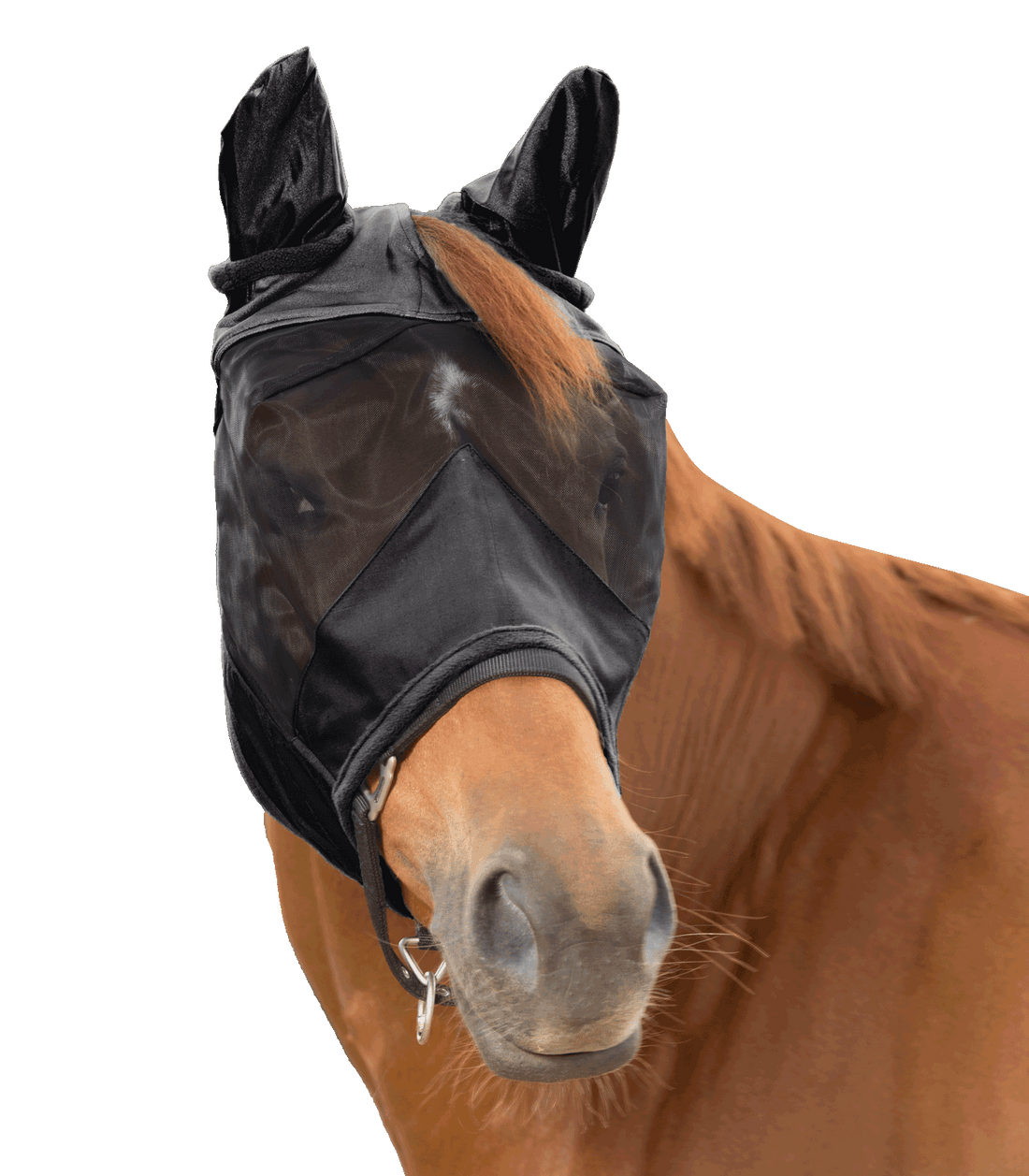 Waldhausen - Fly Mask 3 in 1, black