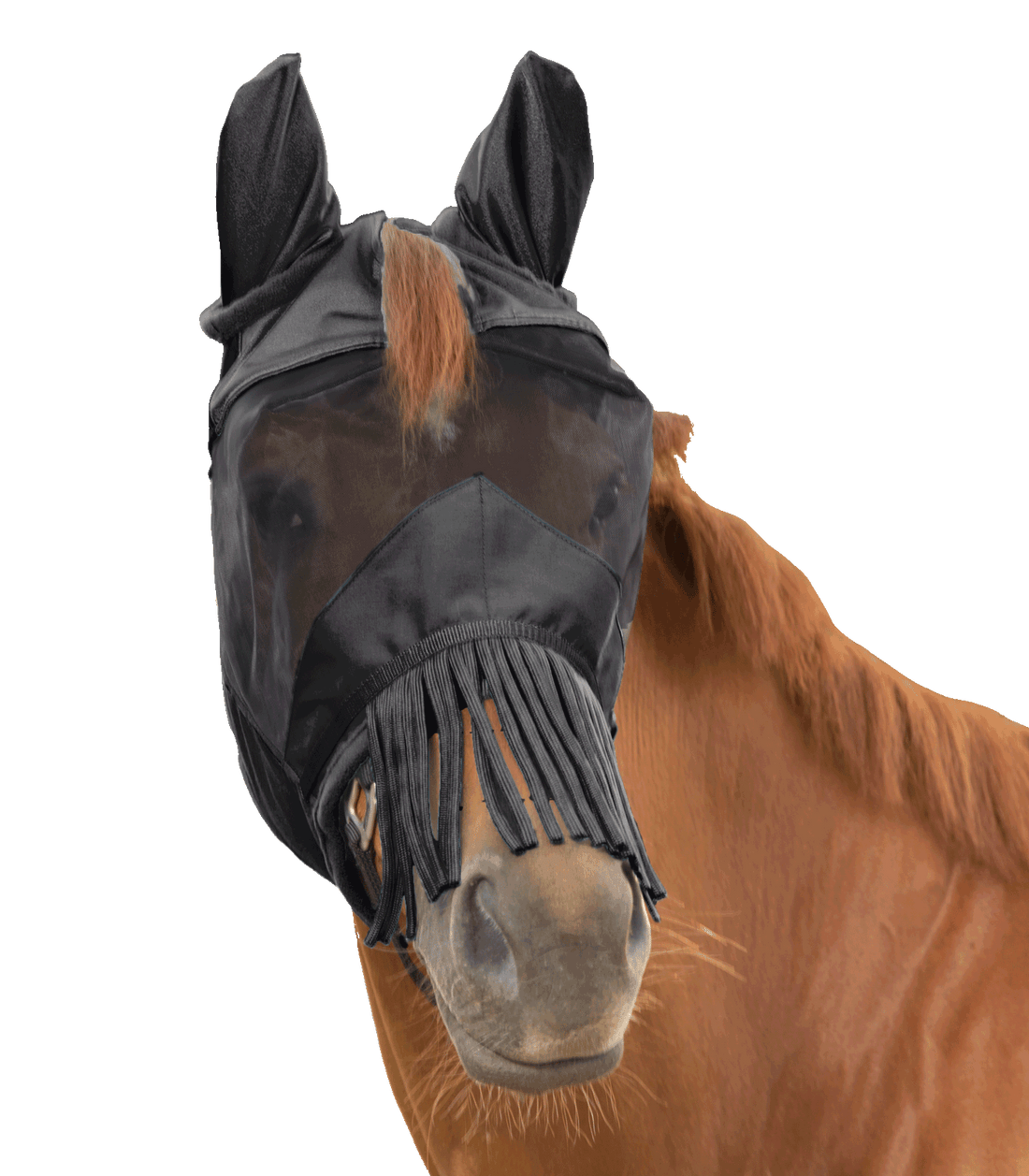 Waldhausen - Fly Mask 3 in 1, black