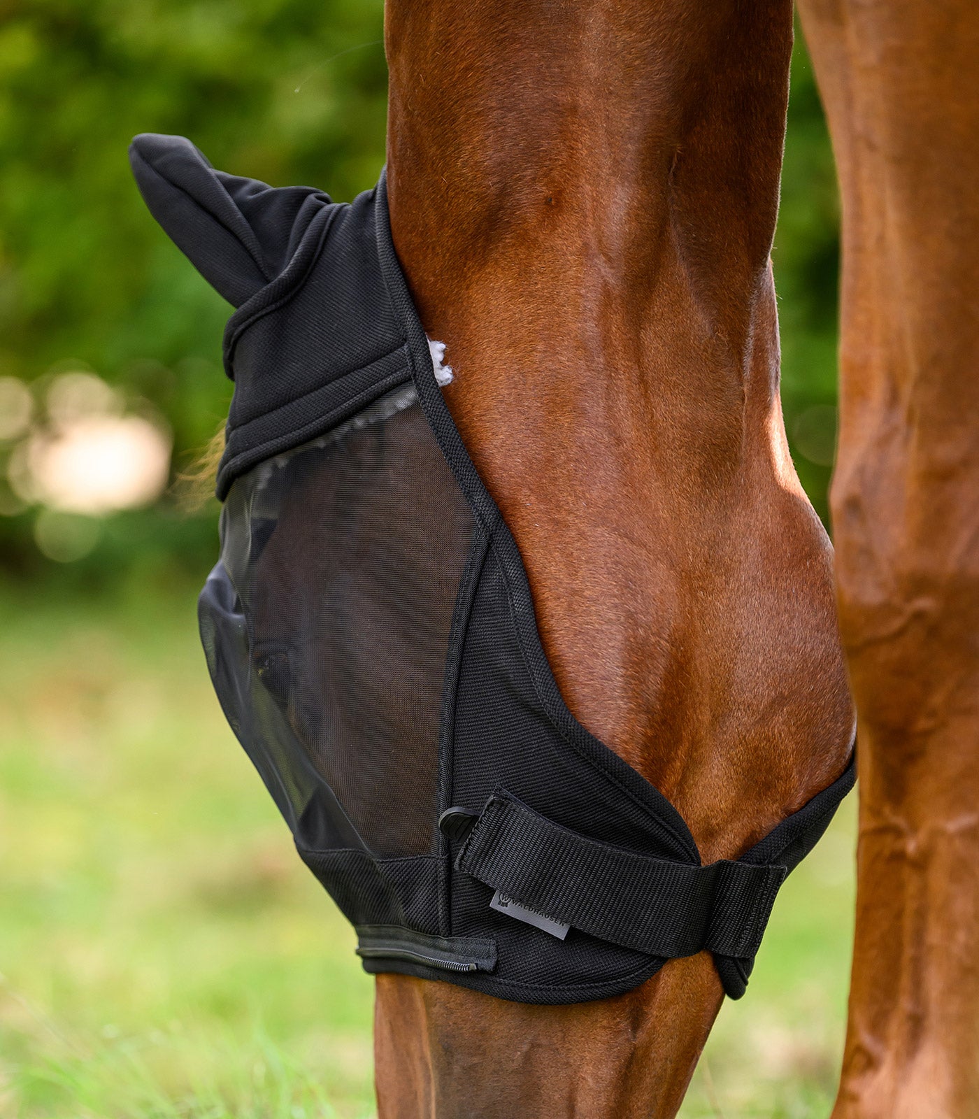 Waldhausen - Fly Mask 3 in 1, black