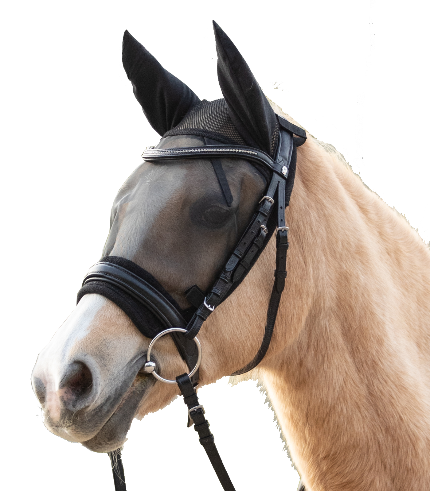 Waldhausen - Fly Mask ride, black