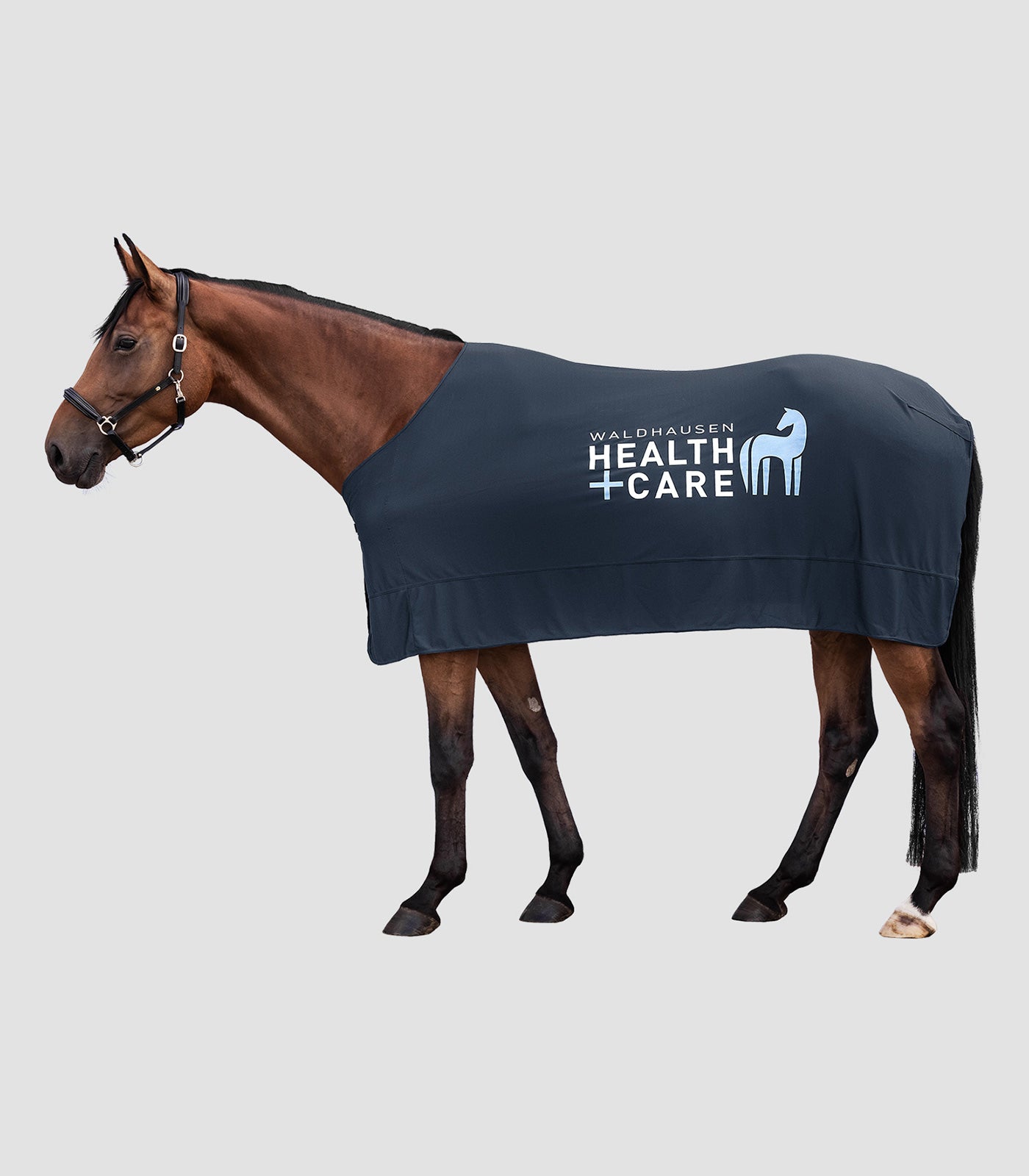 Waldhausen Health + Care - Waldhausen Health + Care Ice Layer rug, nightblue