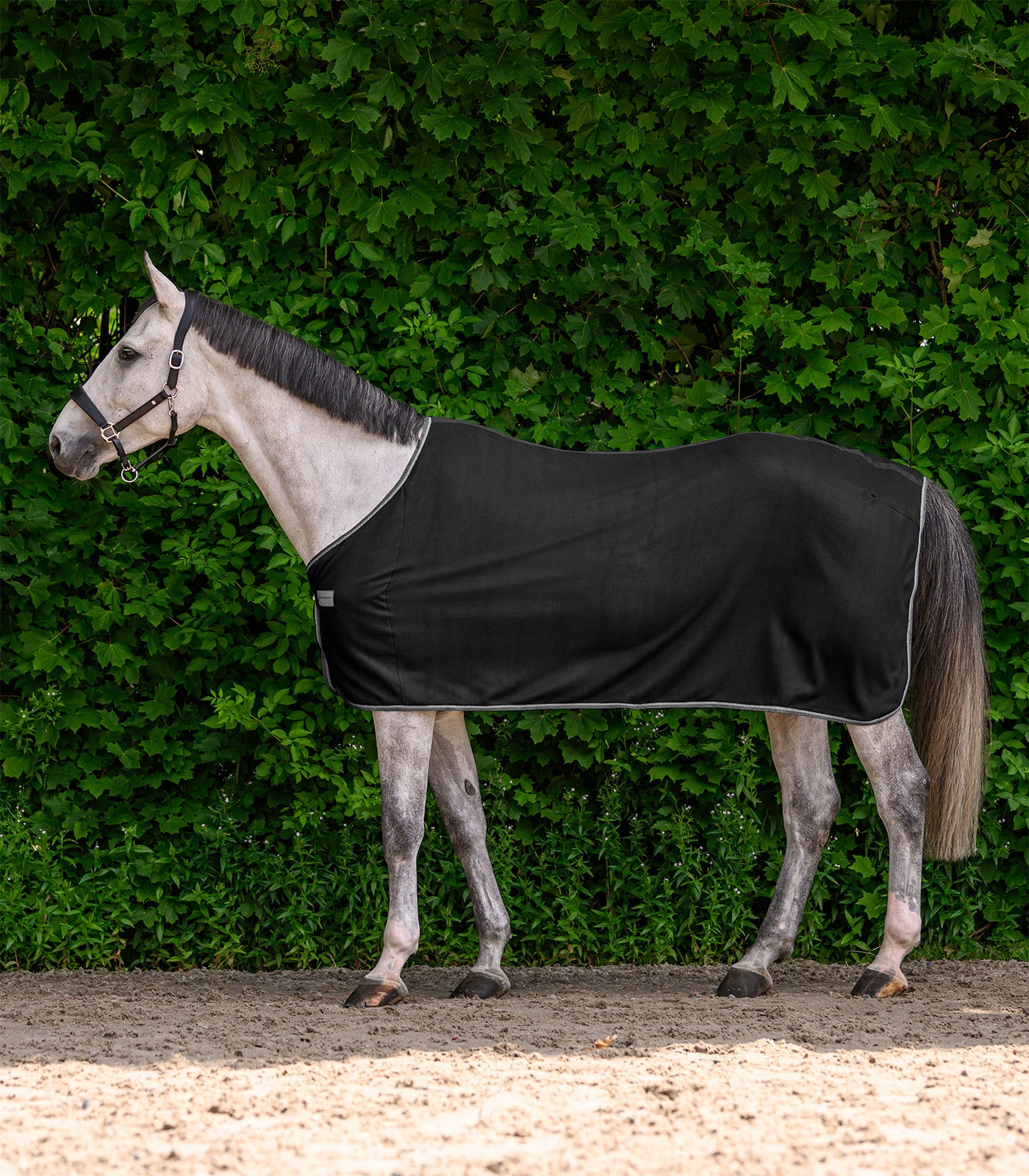 Waldhausen - ECONOMIC Fleece rug, black, 075cm