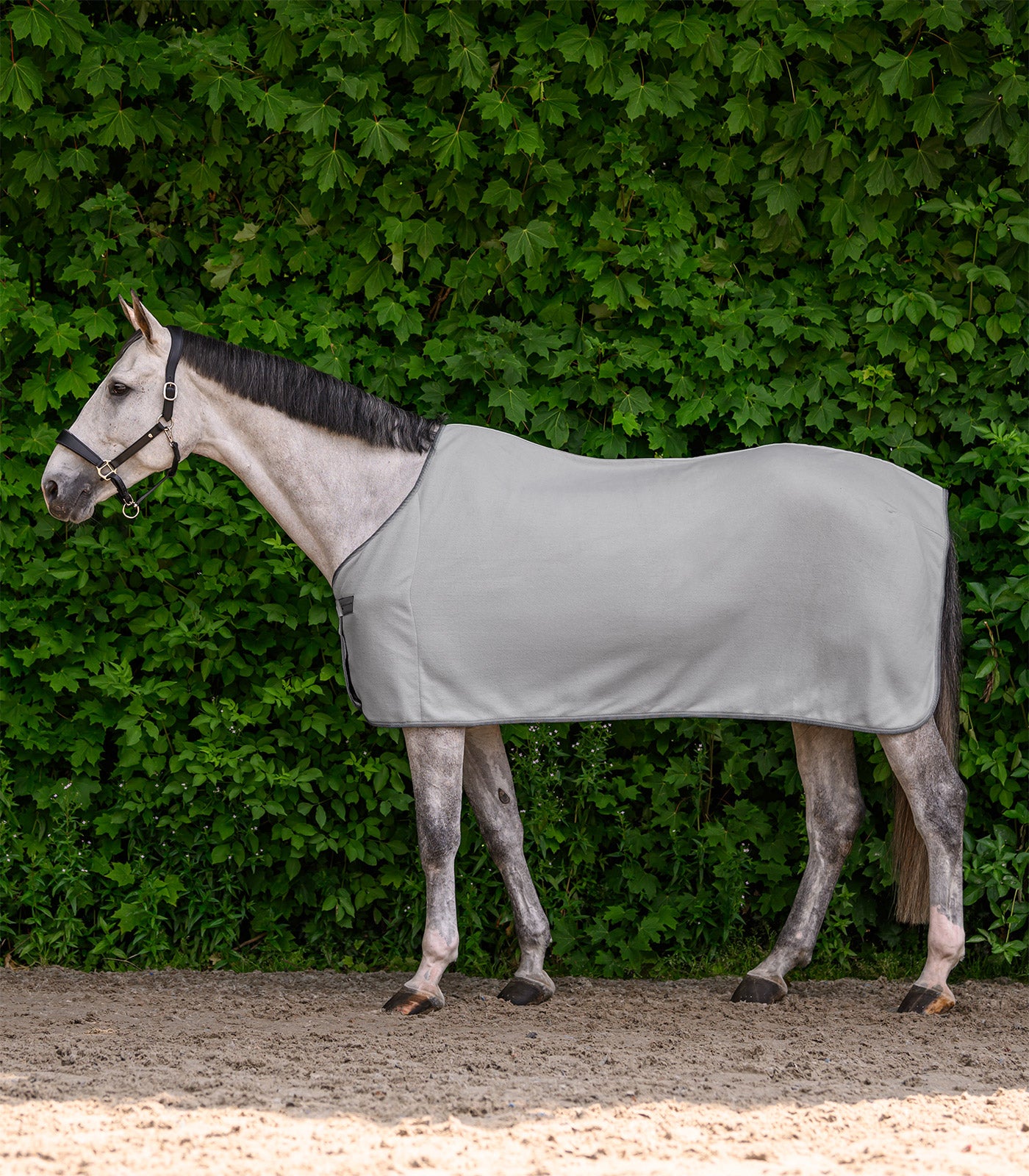 Waldhausen - ECONOMIC Fleece rug, black, 075cm