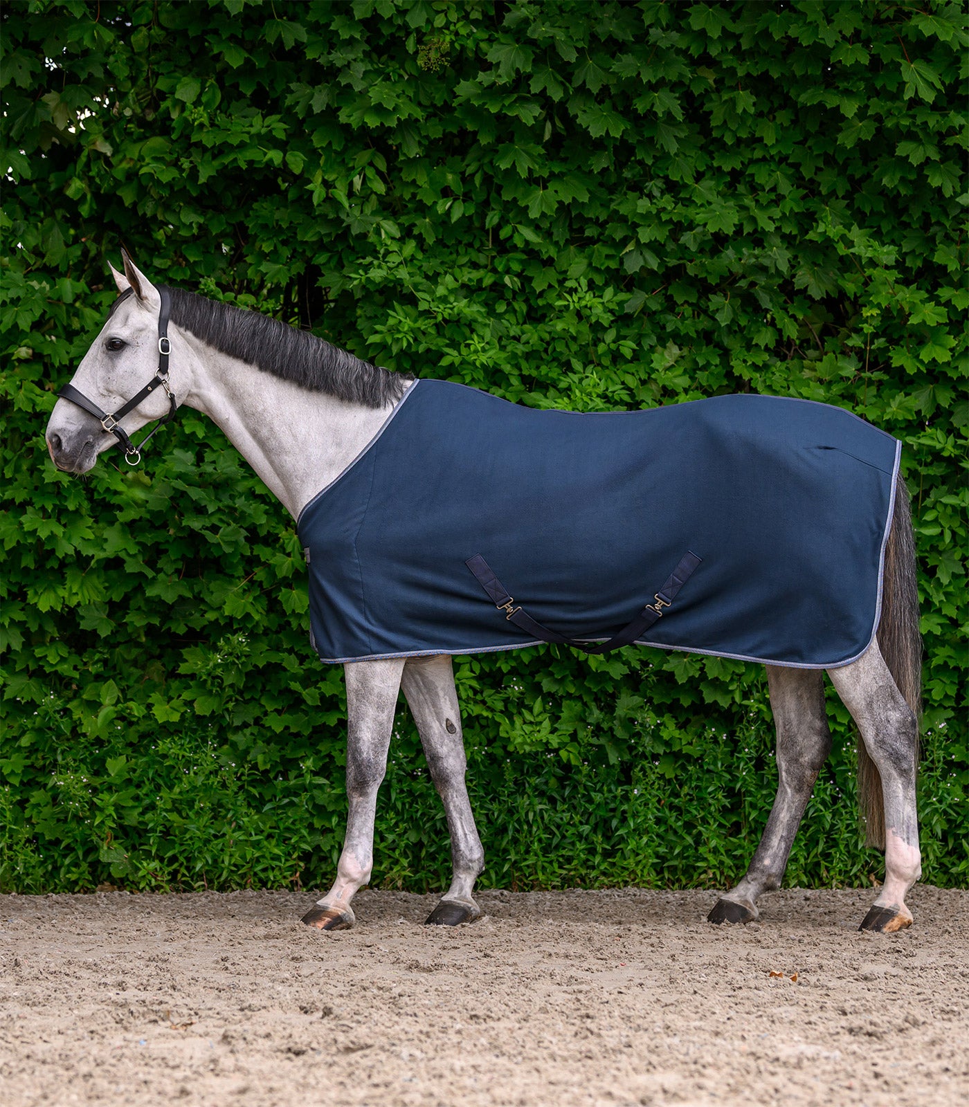 Waldhausen - ECONOMIC Fleece rug w. cross surcingles, black, 115 cm