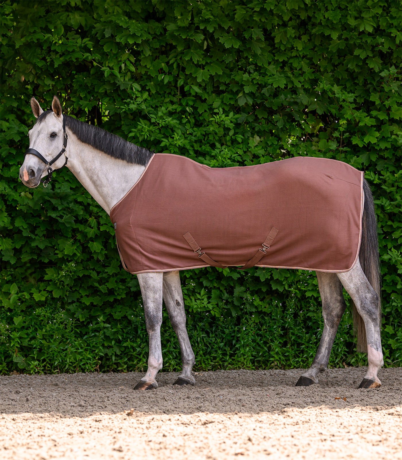 Waldhausen - ECONOMIC Fleece rug w. cross surcingles, black, 115 cm