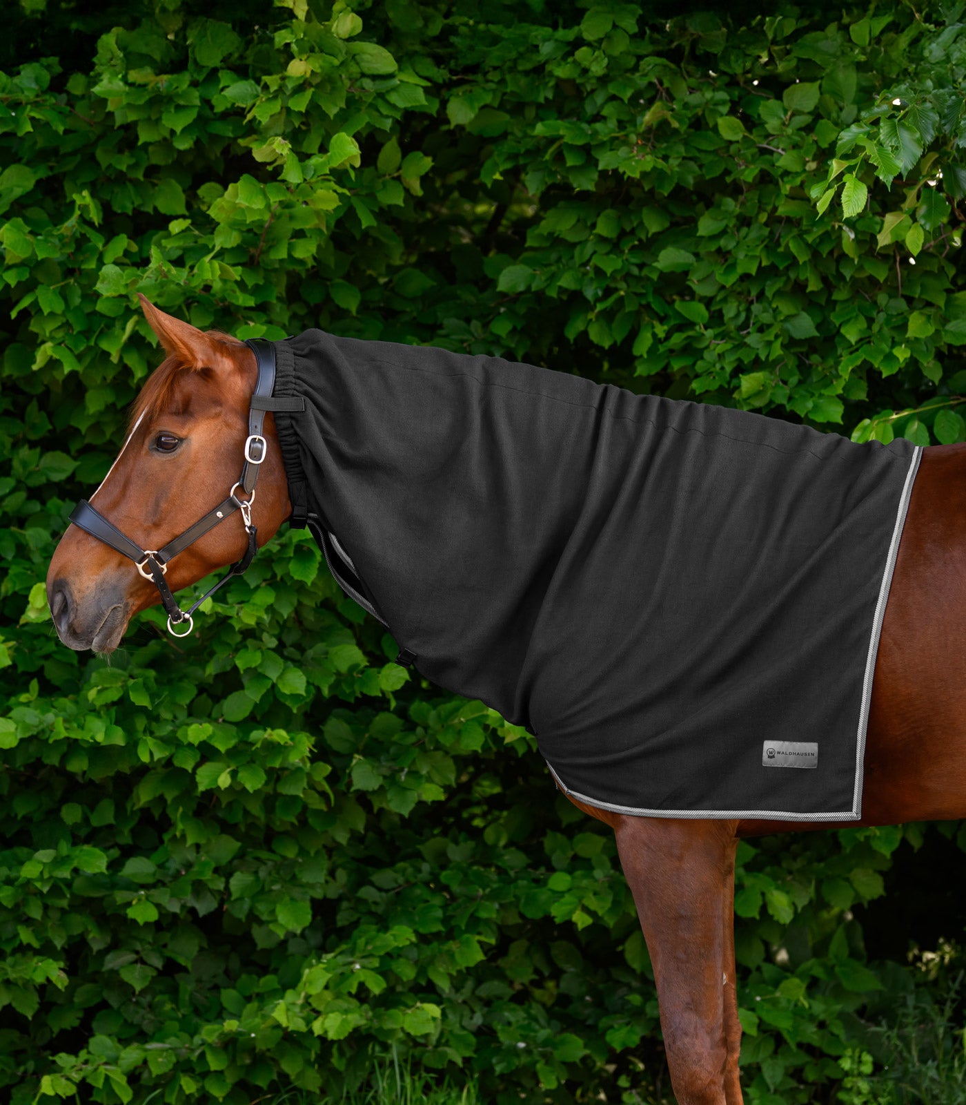 Waldhausen - ECONOMIC Fleece neck rug