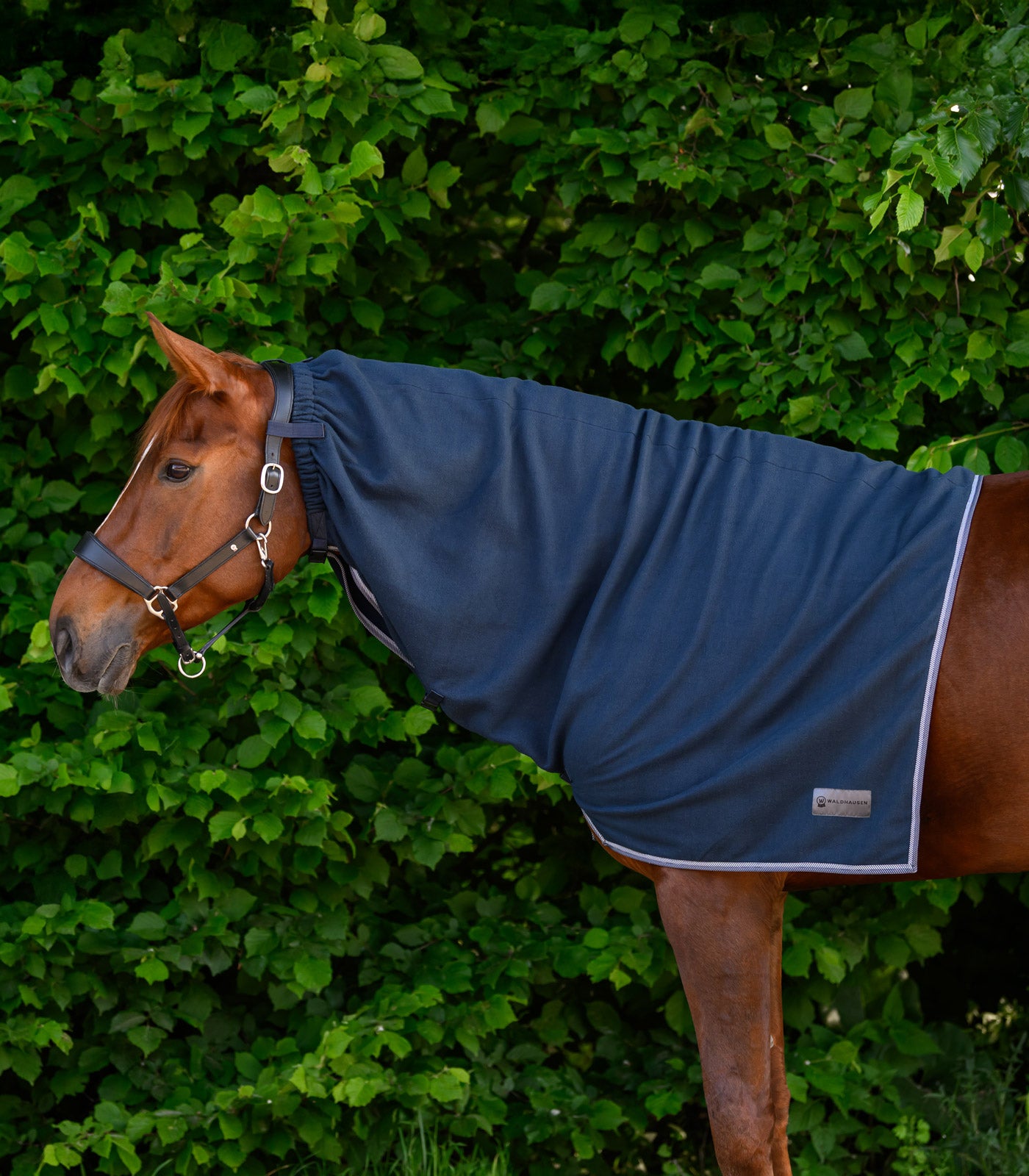 Waldhausen - ECONOMIC Fleece neck rug