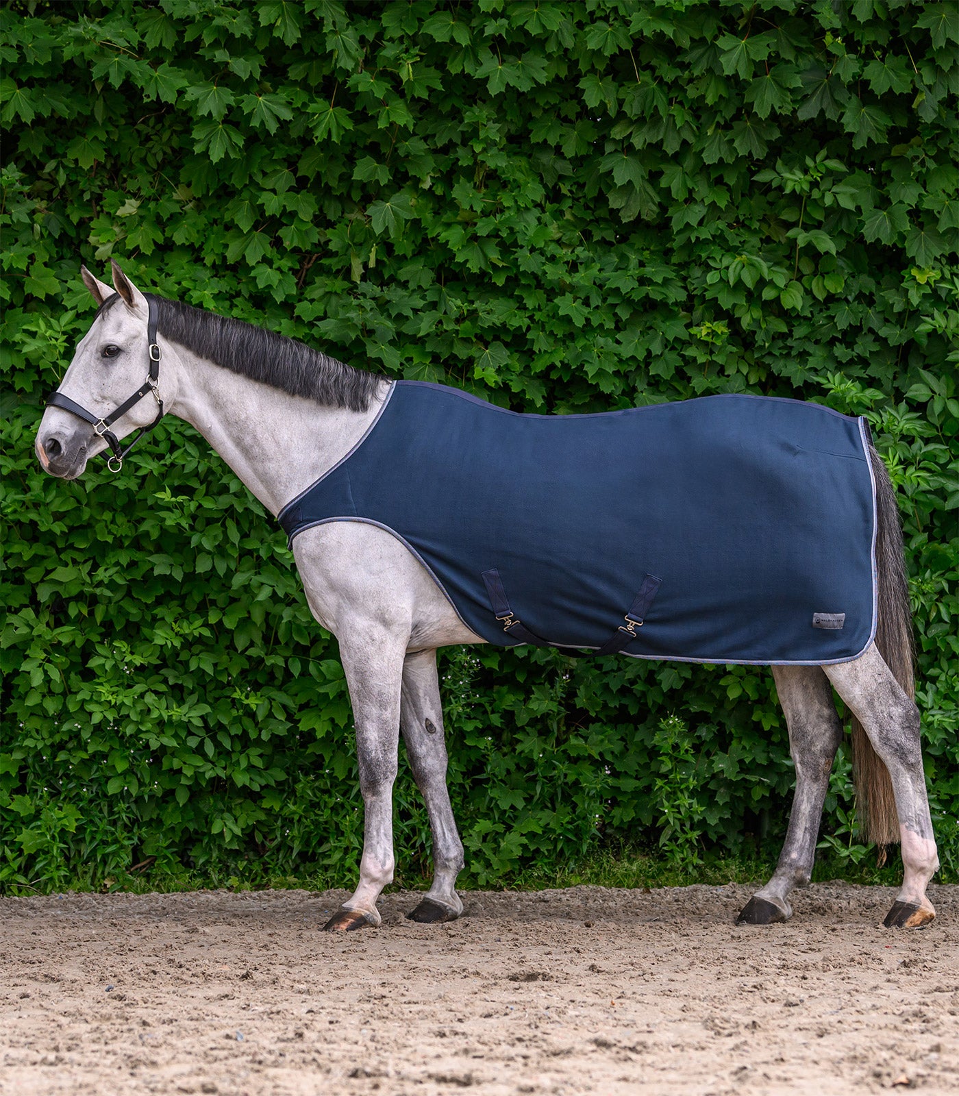 Waldhausen - ECONOMIC Fleece Walking rug, nightblue