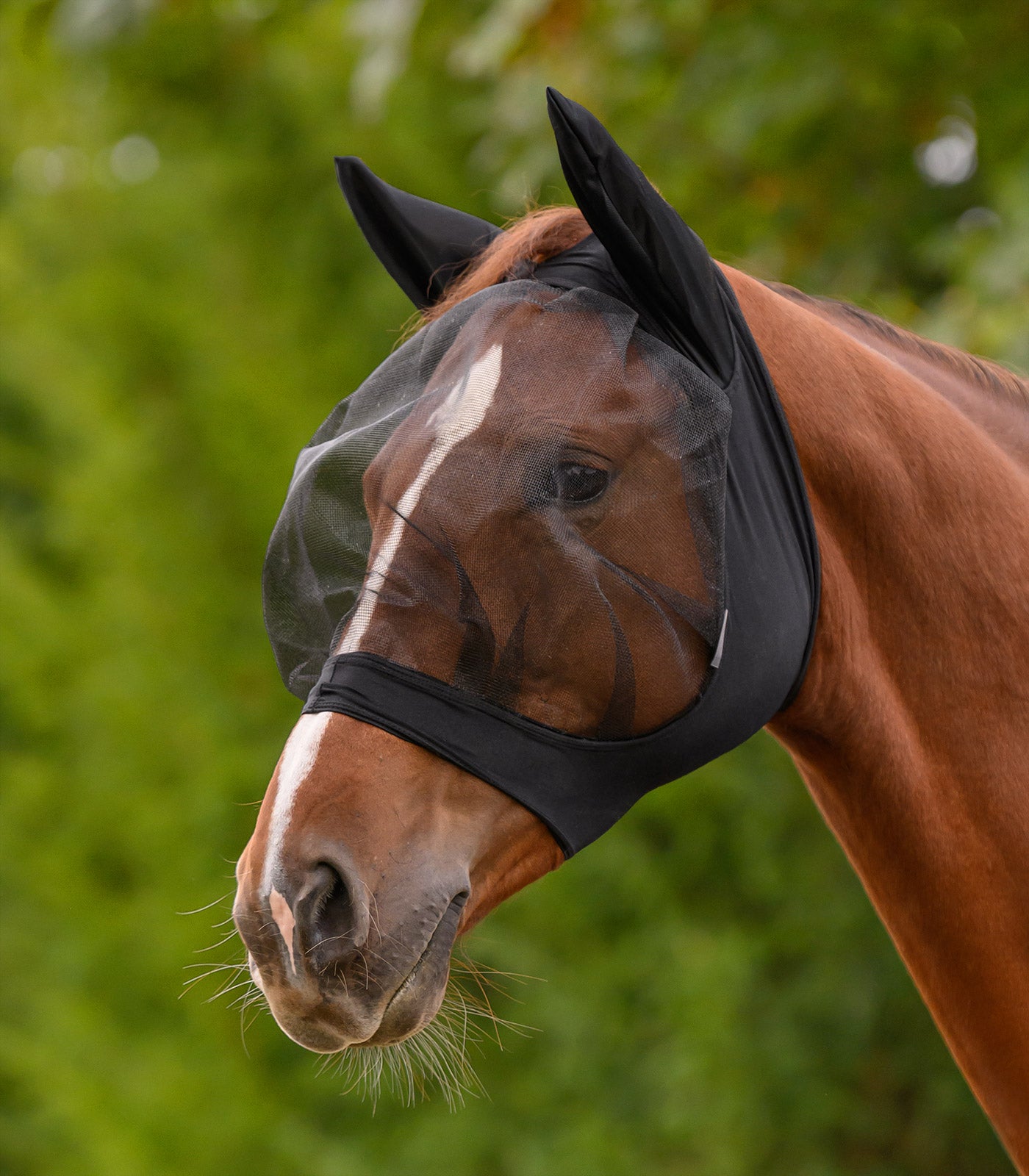 Waldhausen - Fly mask SKINNY