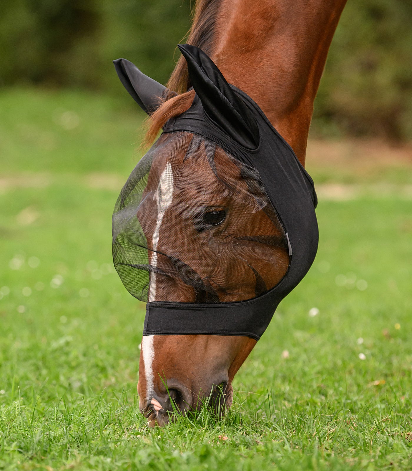 Waldhausen - Fly mask SKINNY