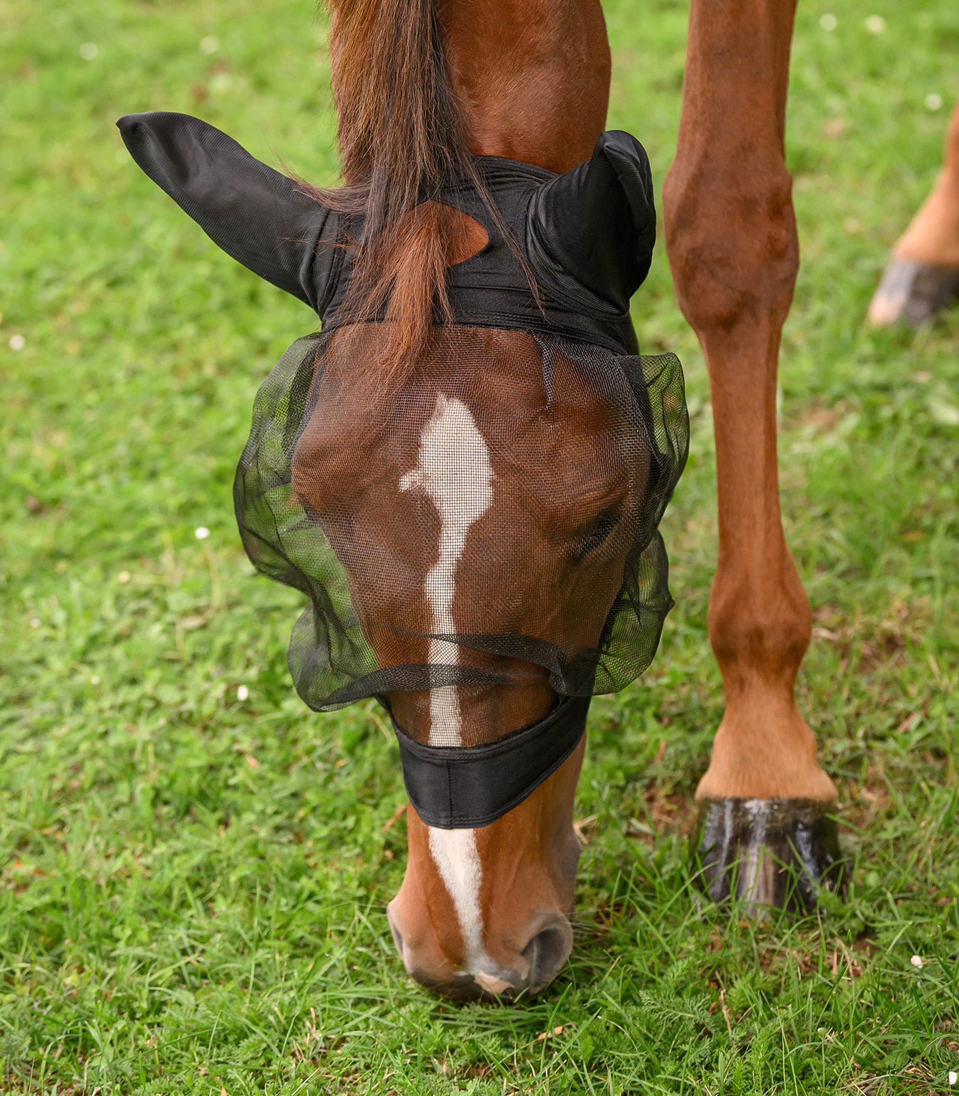Waldhausen - Fly mask SKINNY
