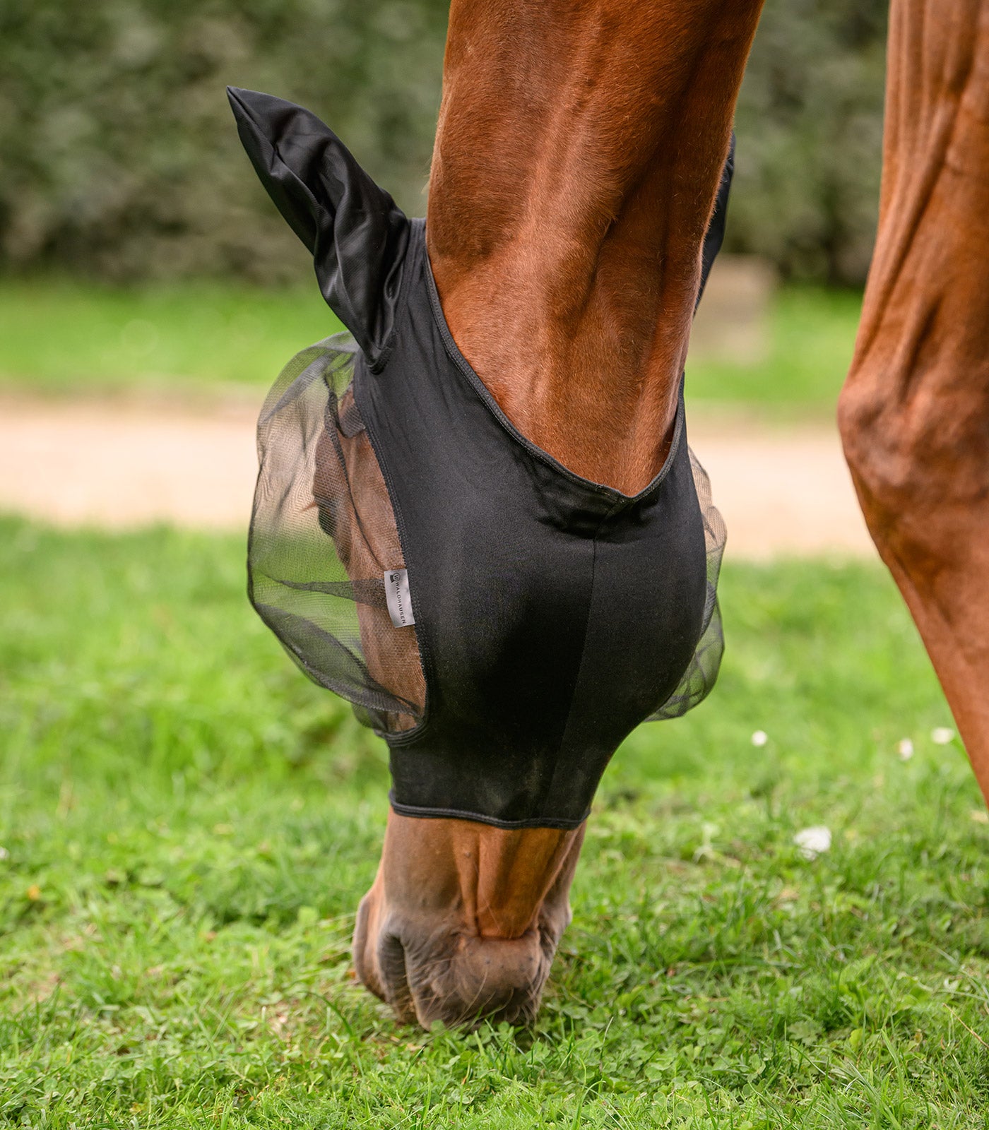 Waldhausen - Fly mask SKINNY