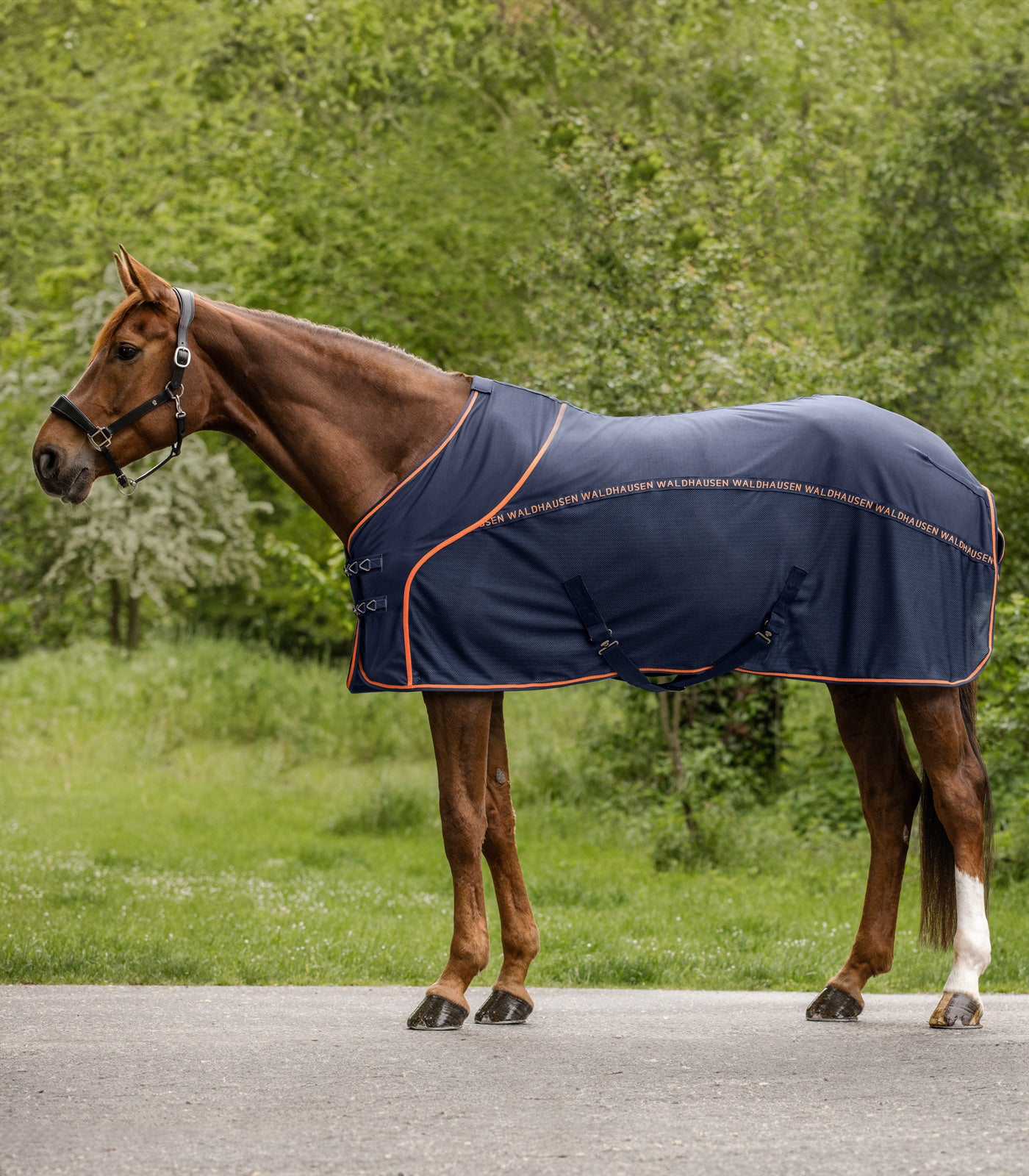 Waldhausen - Fly Summer Rug