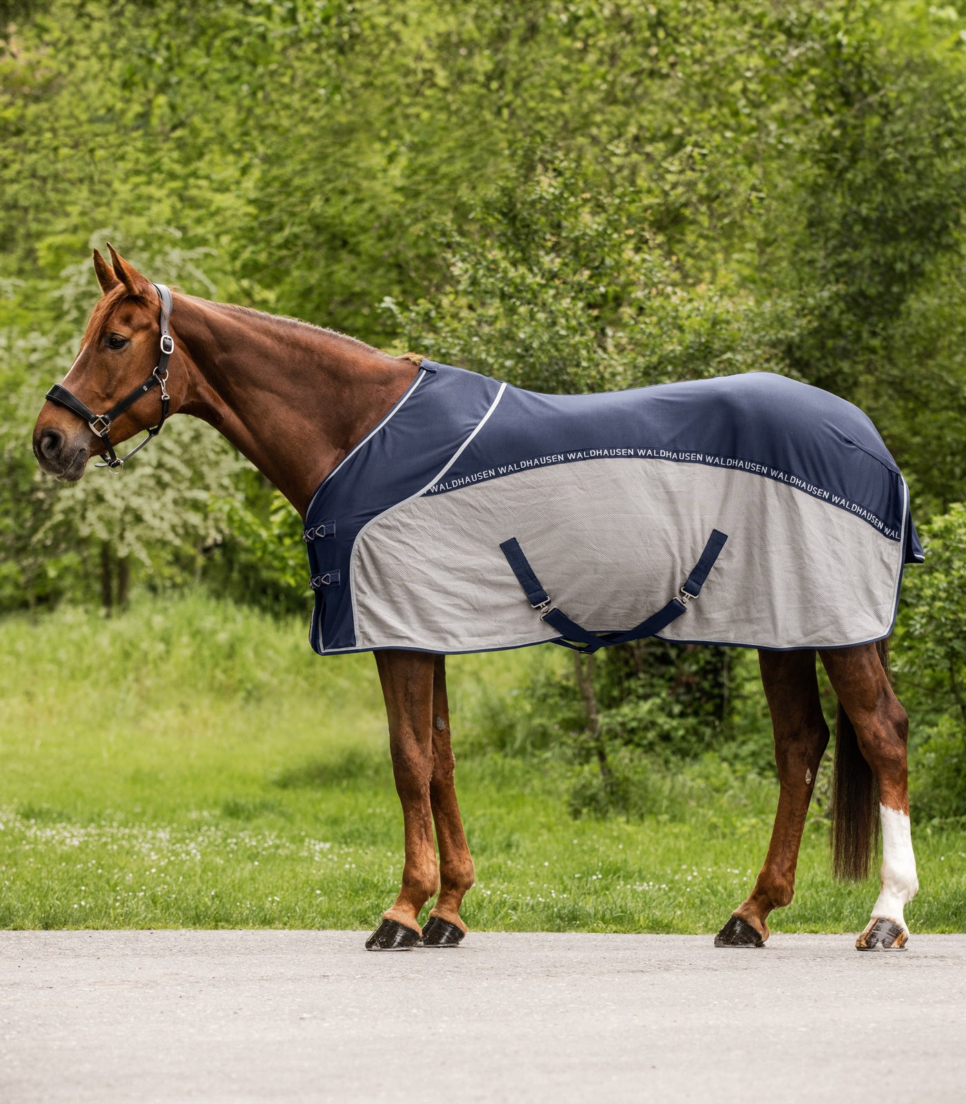 Waldhausen - Fly Summer Rug